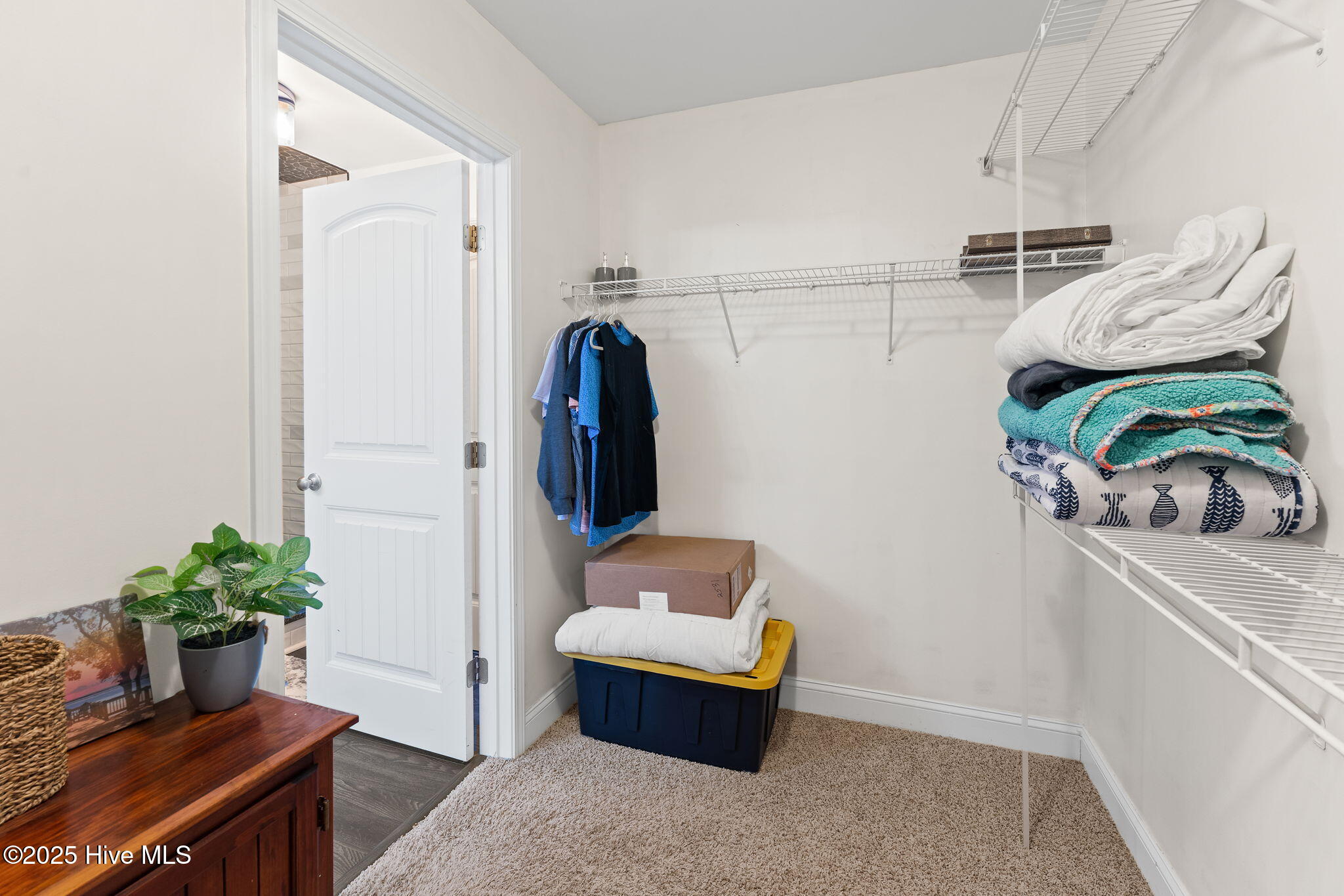 100548300 | Photo 25