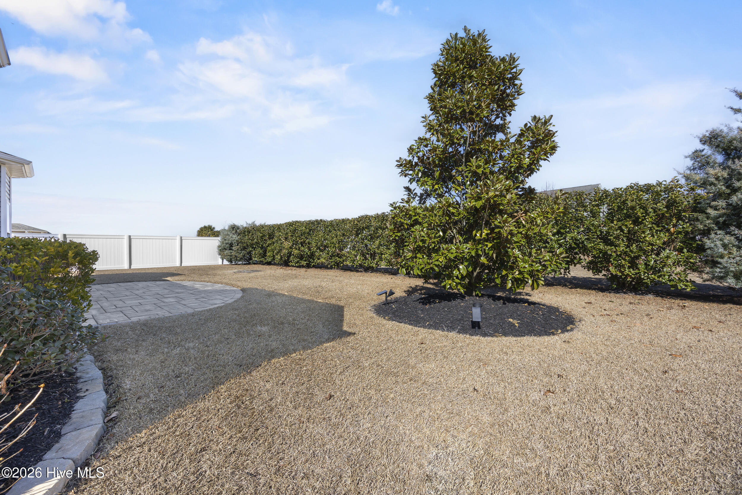 100551713 | Photo 38