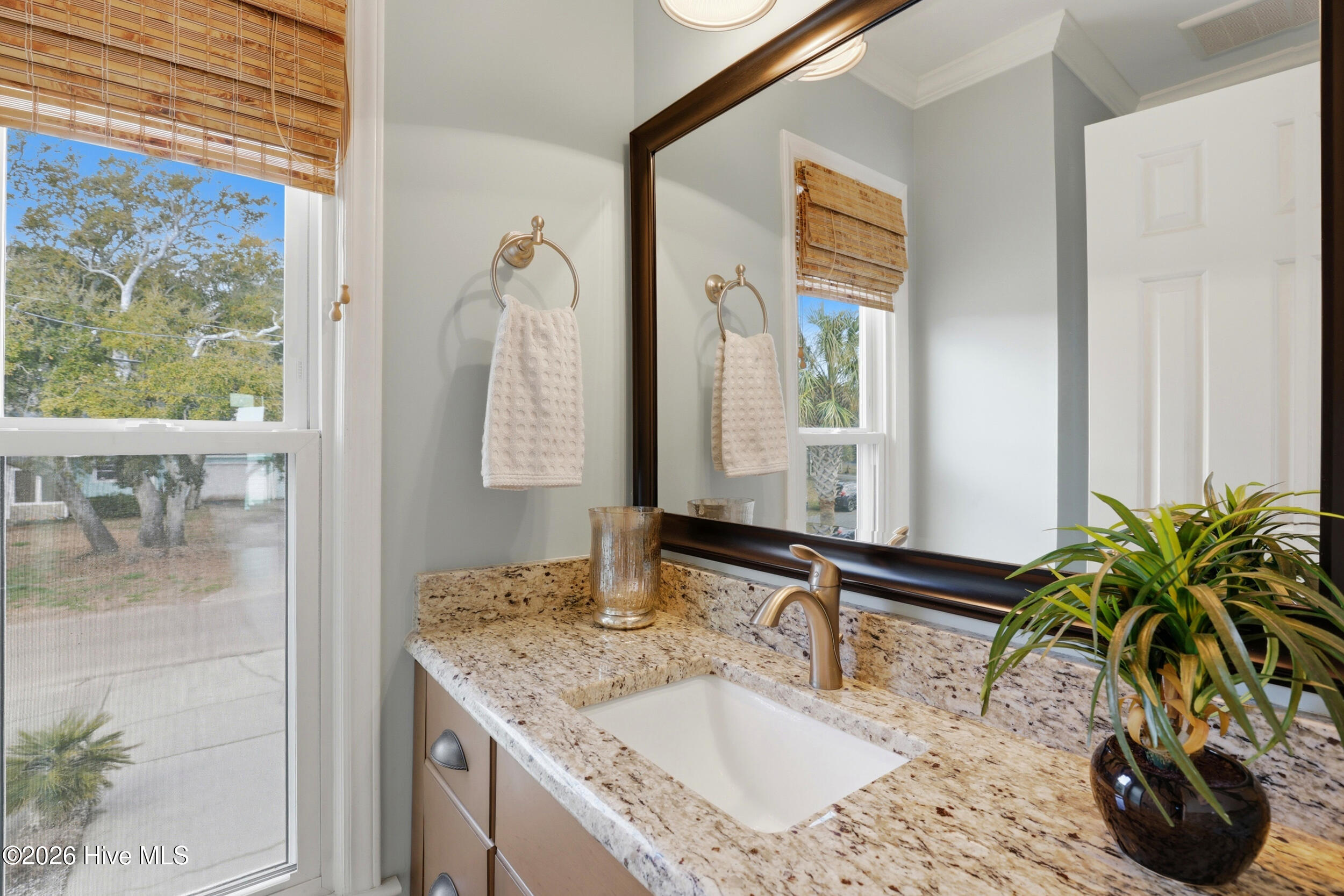 100559731 | Photo 29