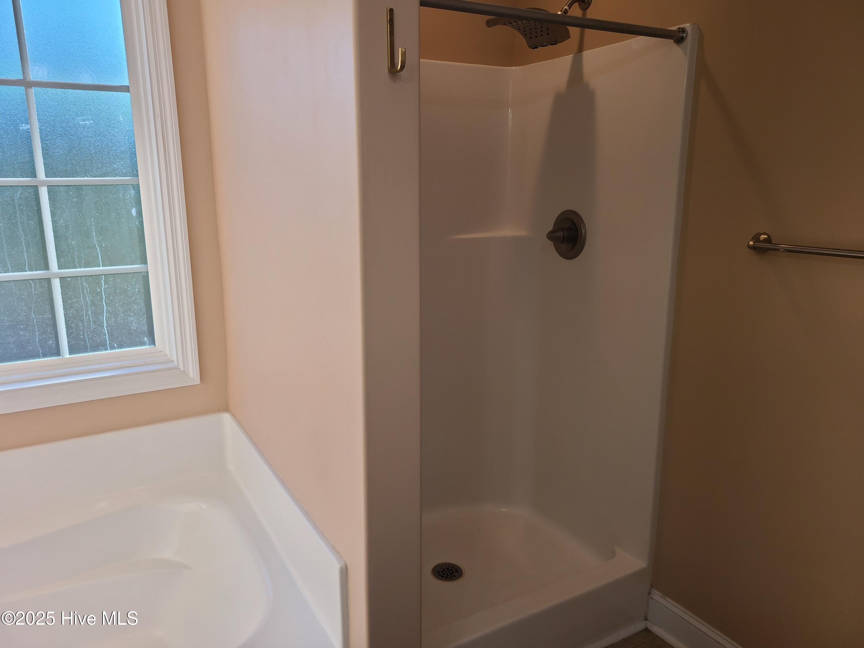 100539492 | Photo 22