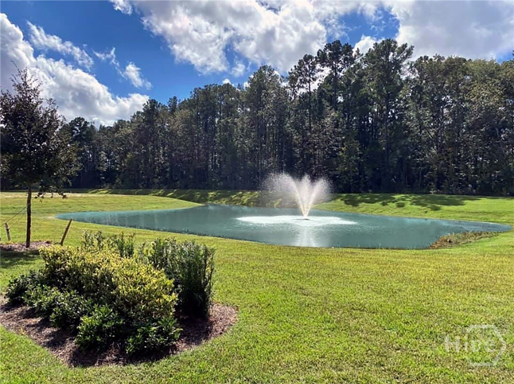 Pond at community entrance
