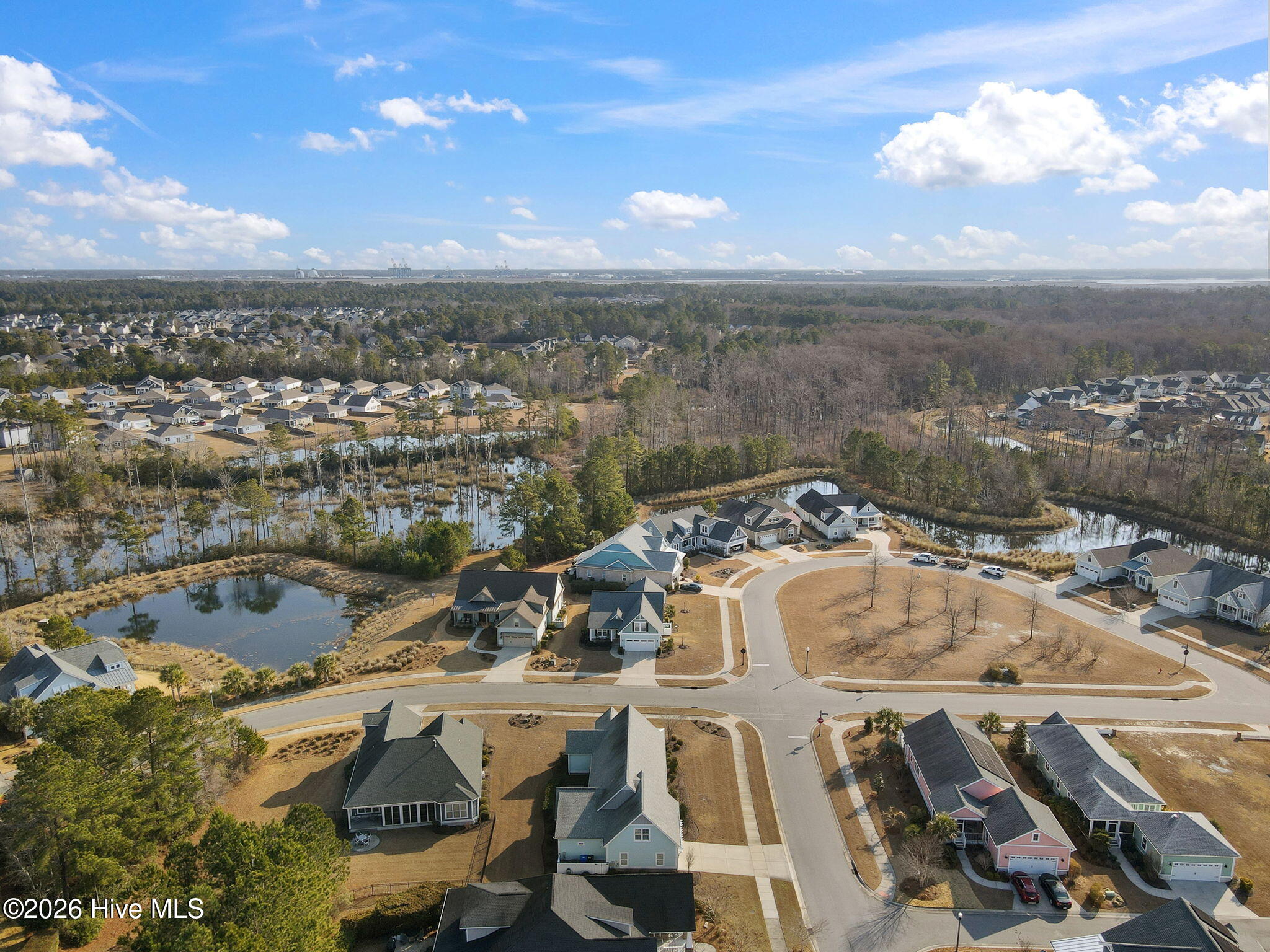 100554353 | Photo 65