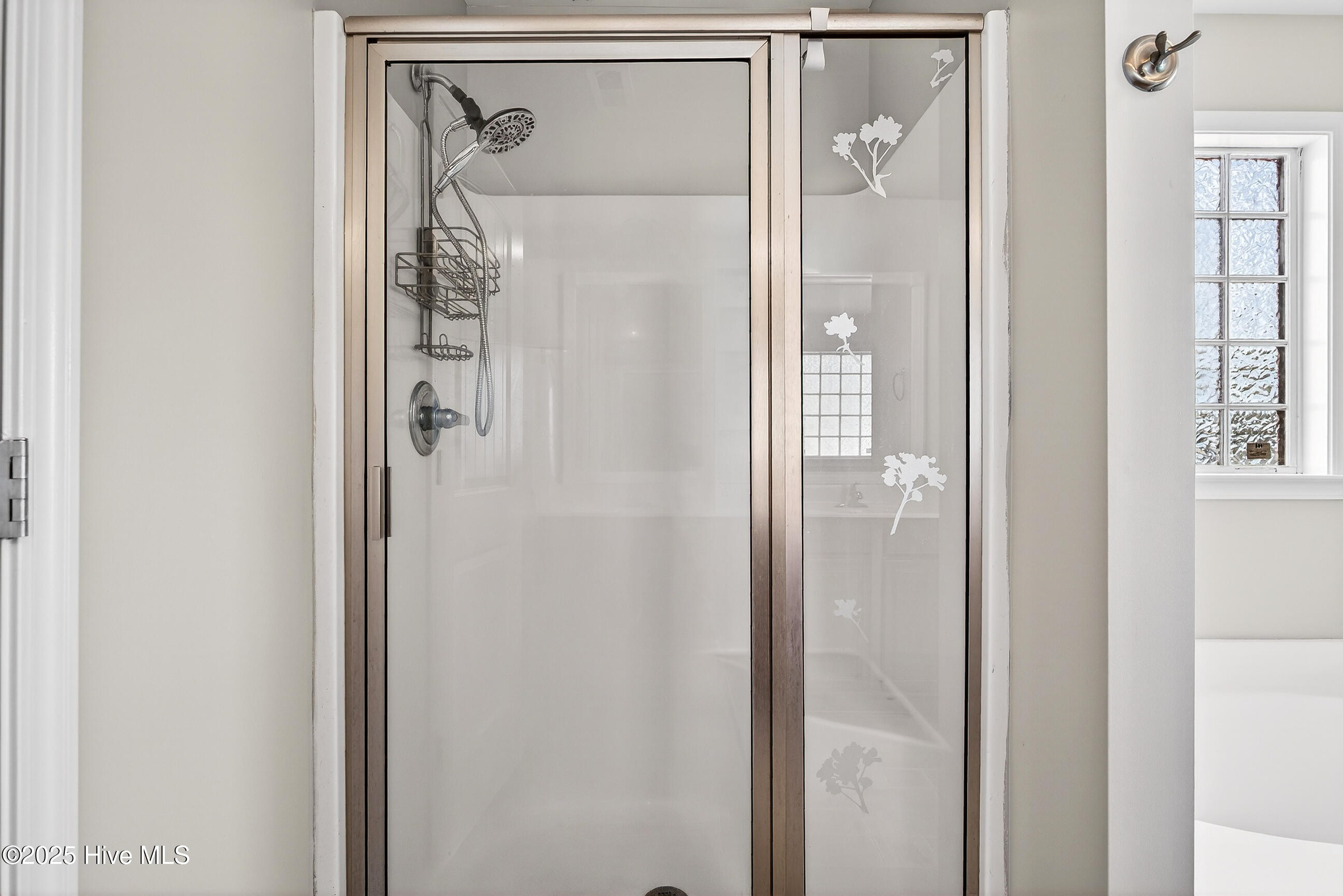 100547089 | Photo 28