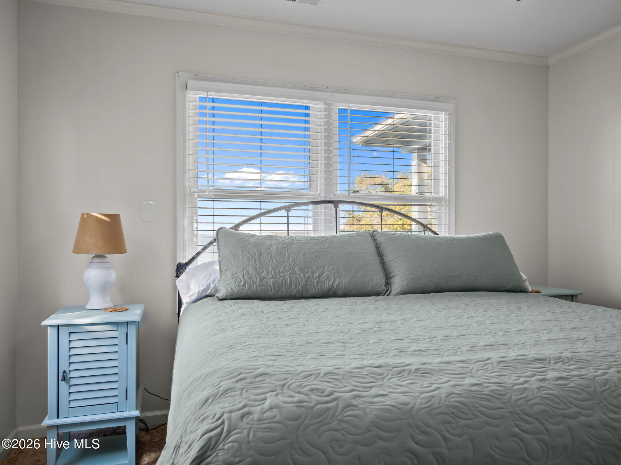 100551194 | Photo 37