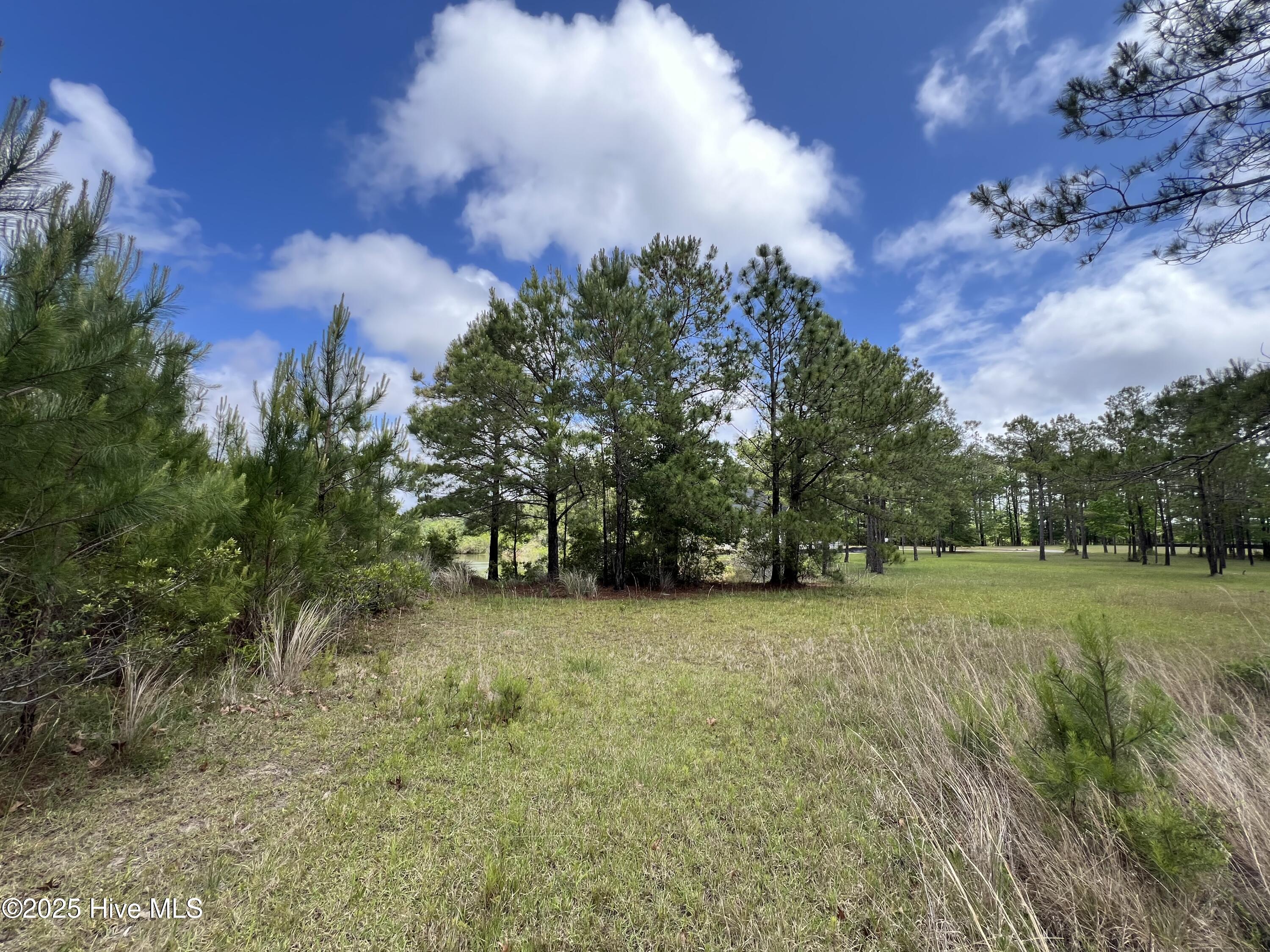 100509687 | Photo 41