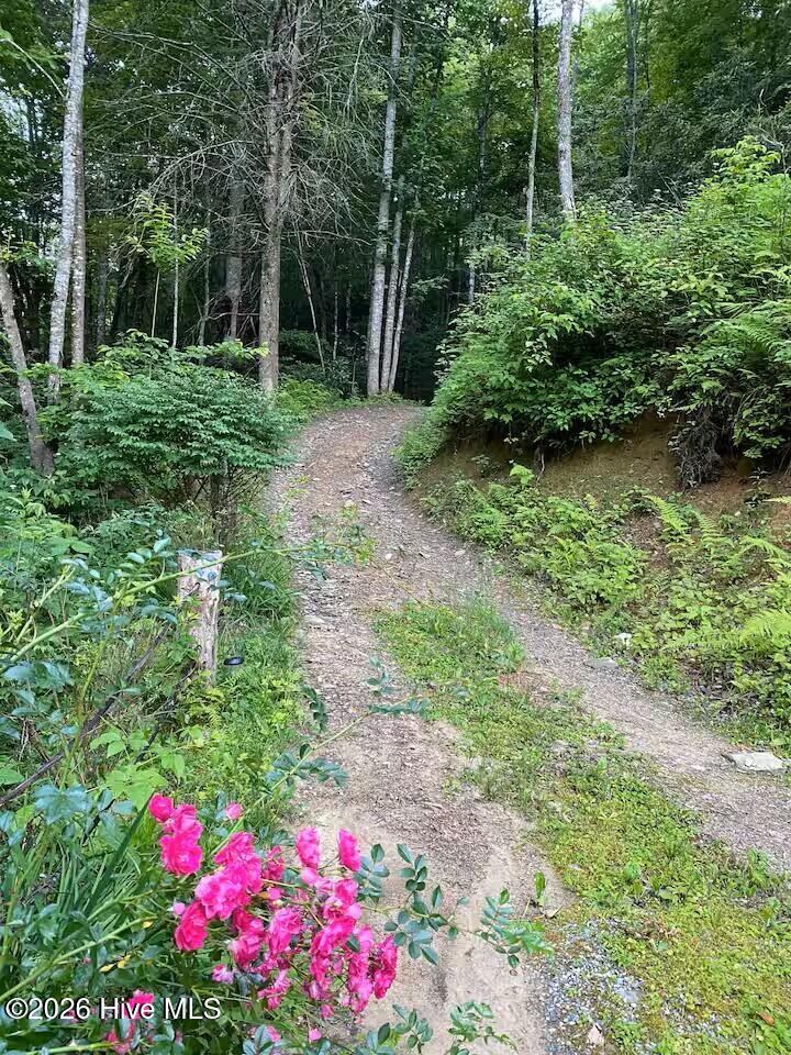 2nd image of 00 Amber Lane, Topton, NC 28781 | MLS# 100598598