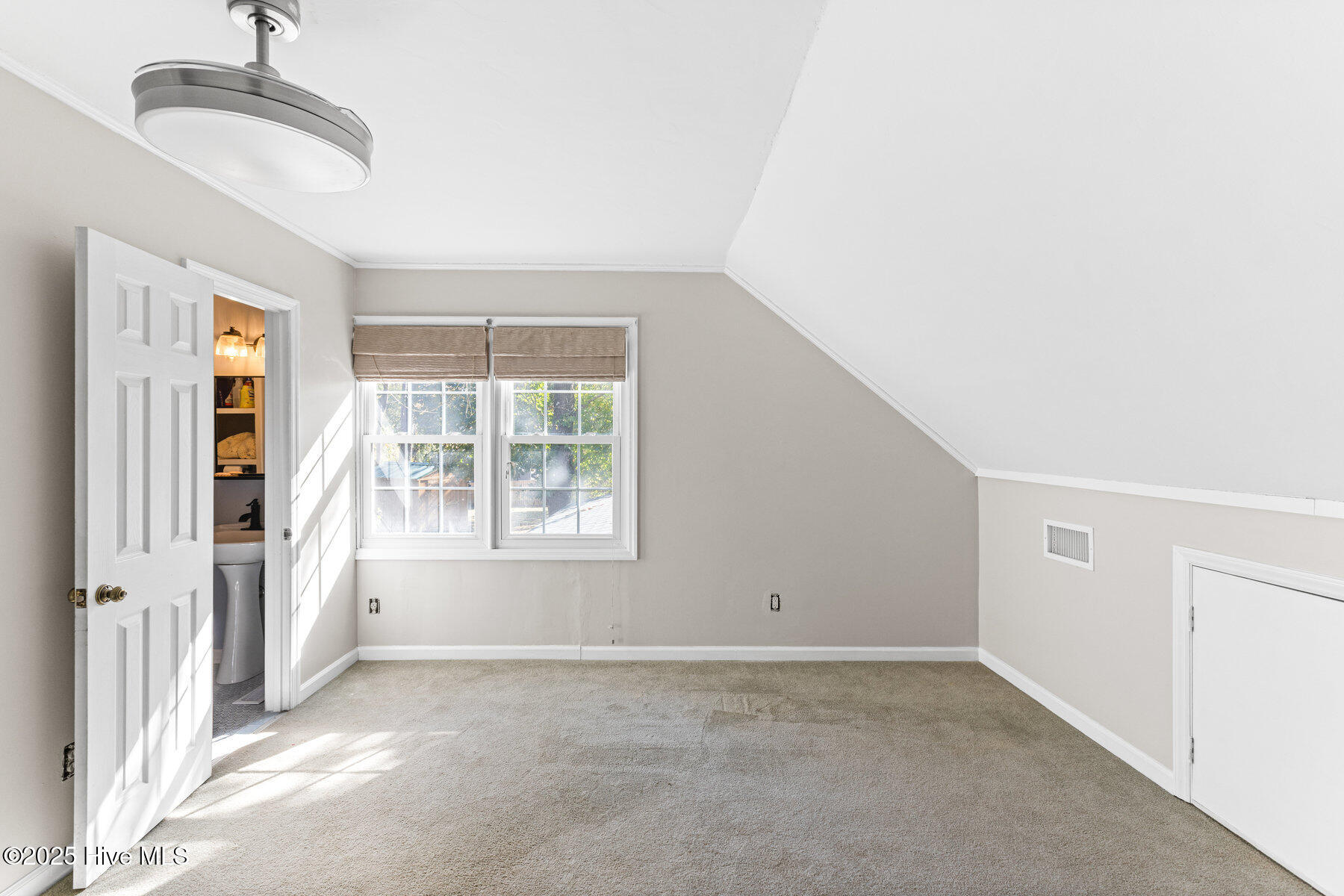 100542289 | Photo 20