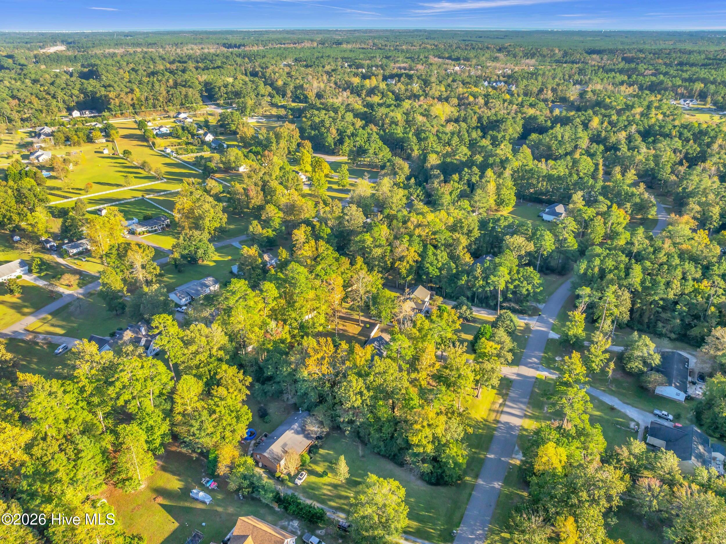 100562256 | Photo 54