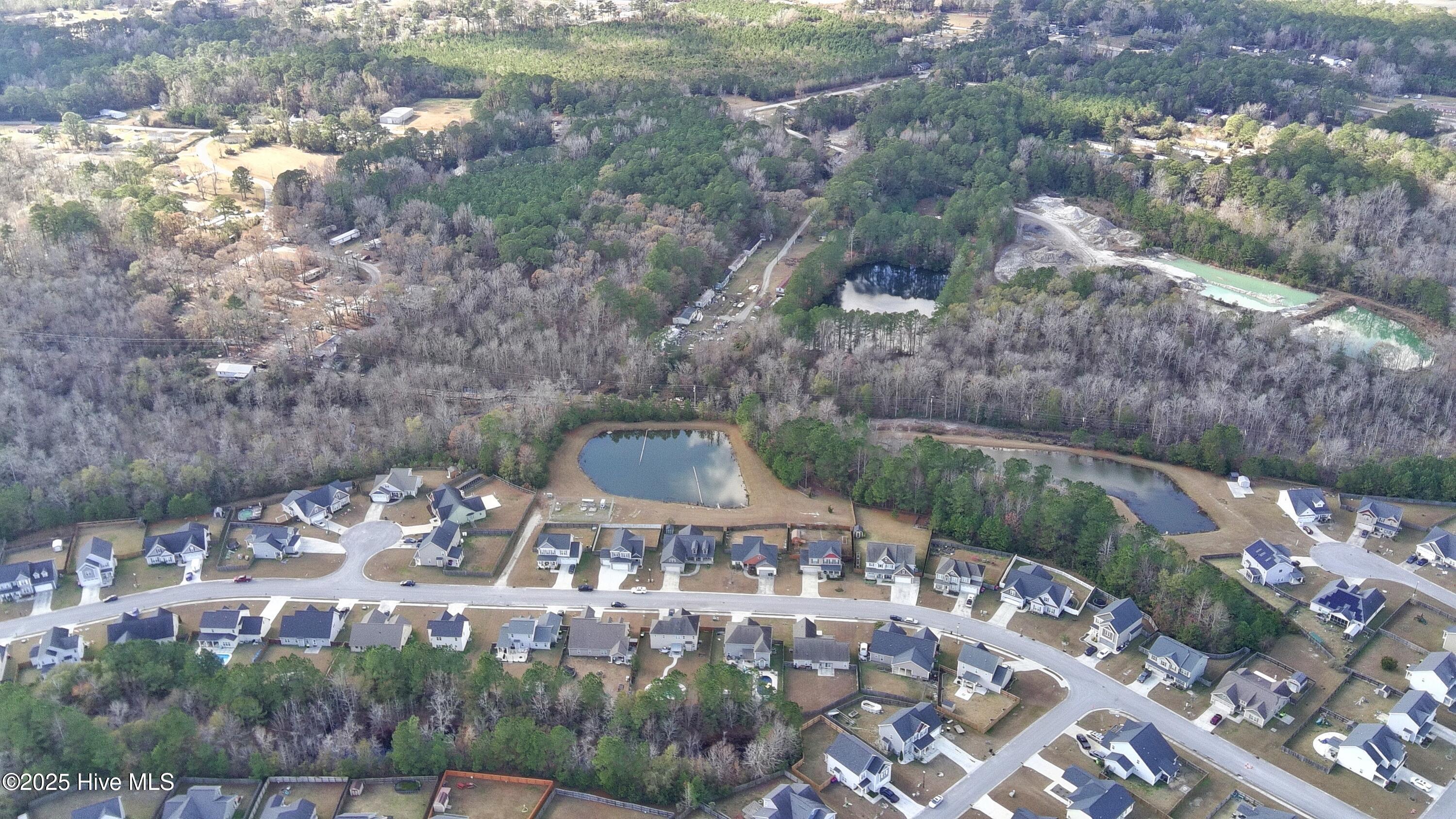 100545917 | Photo 47