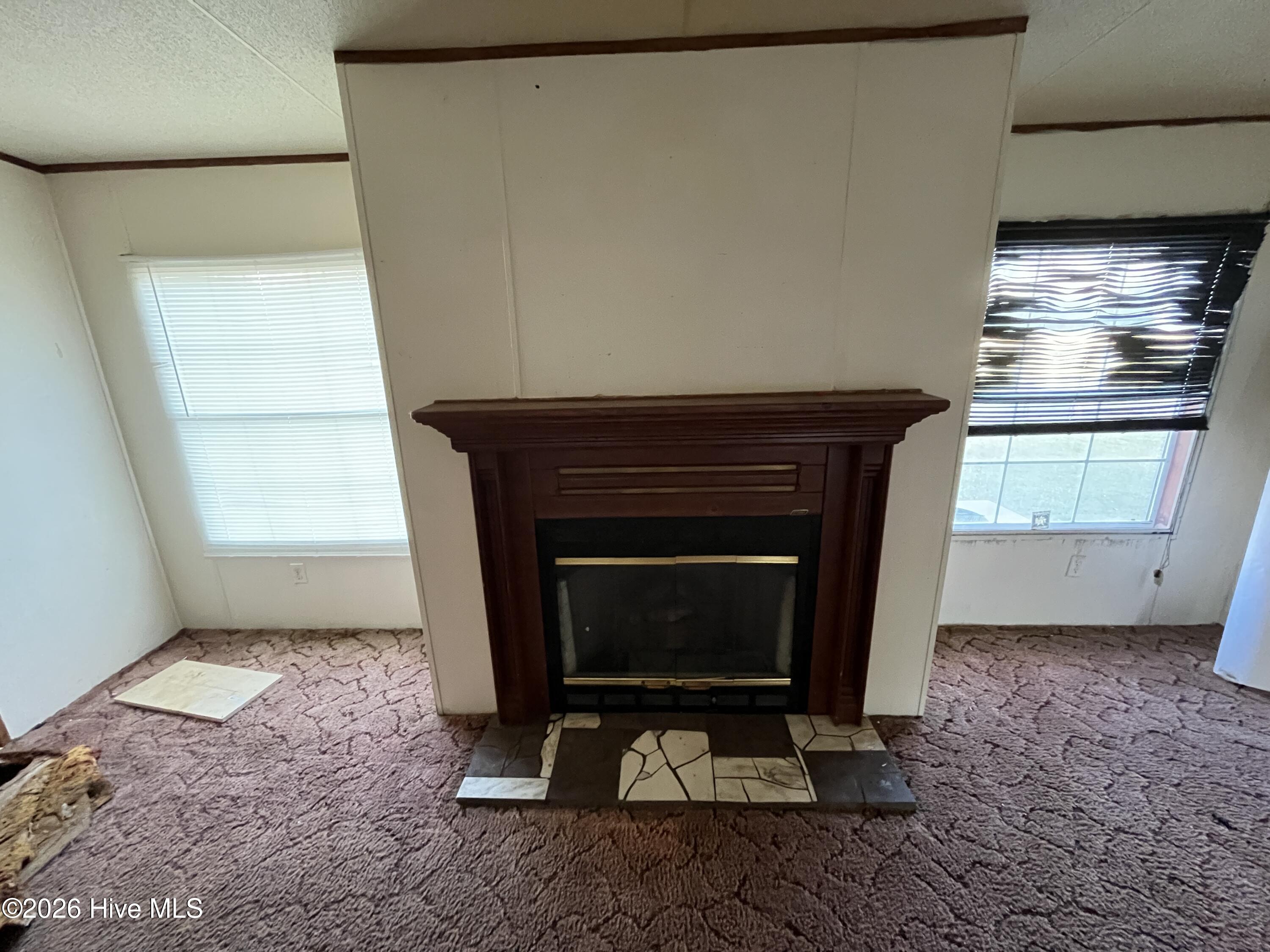 100568963 | Photo 31