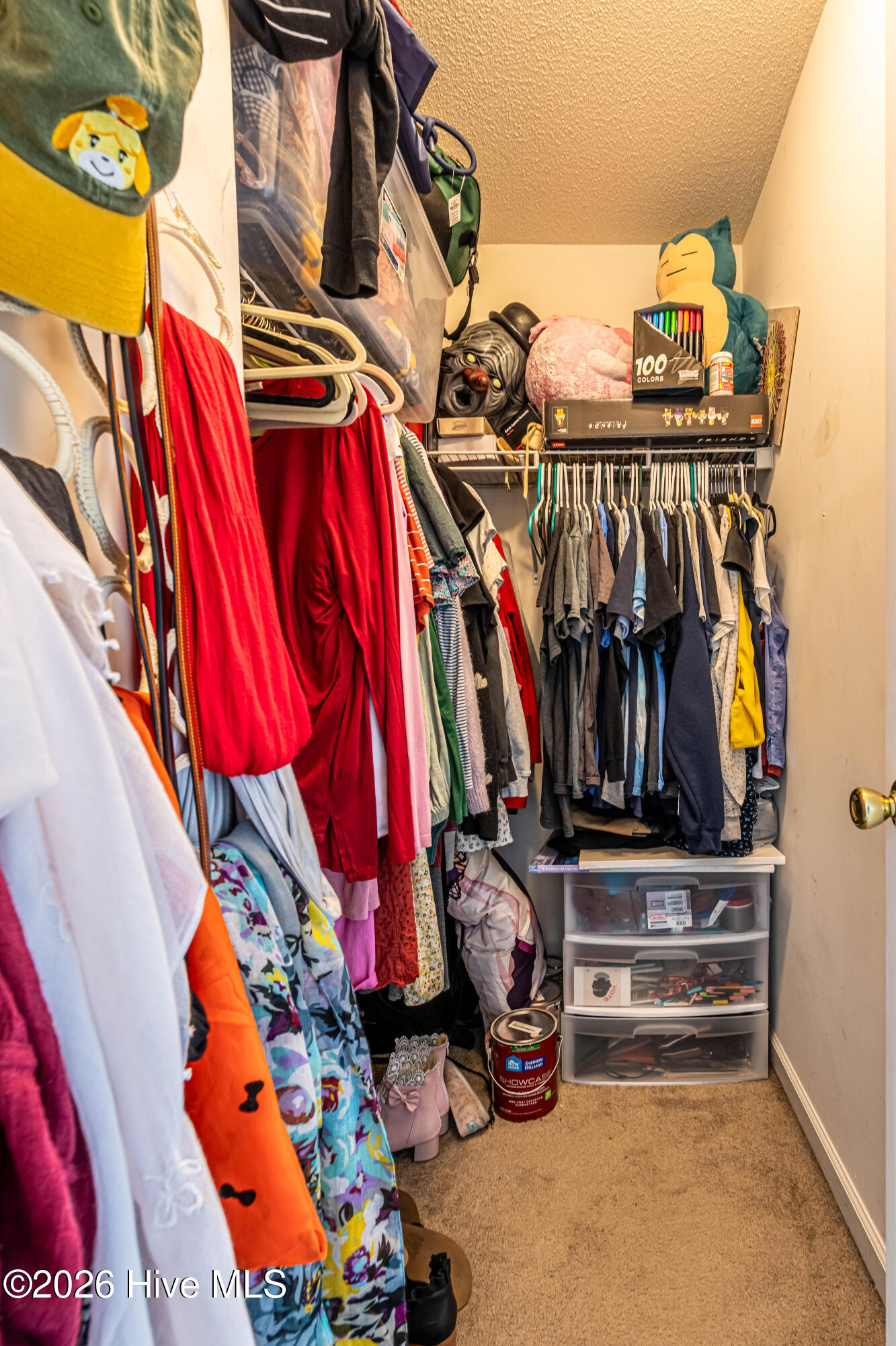 100558731 | Photo 25