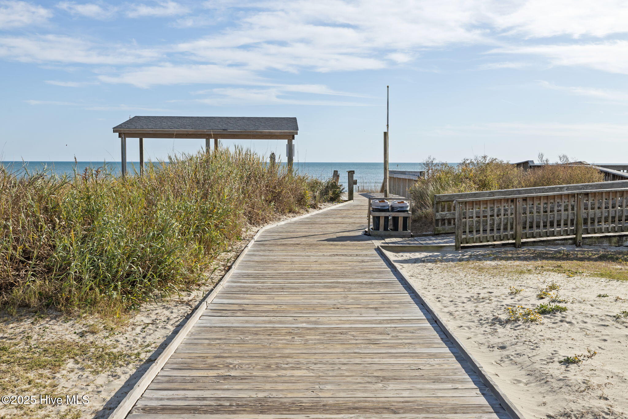 100541524 | Photo 39