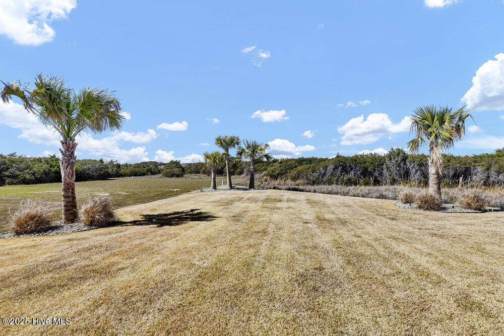 100499001 | Photo 60