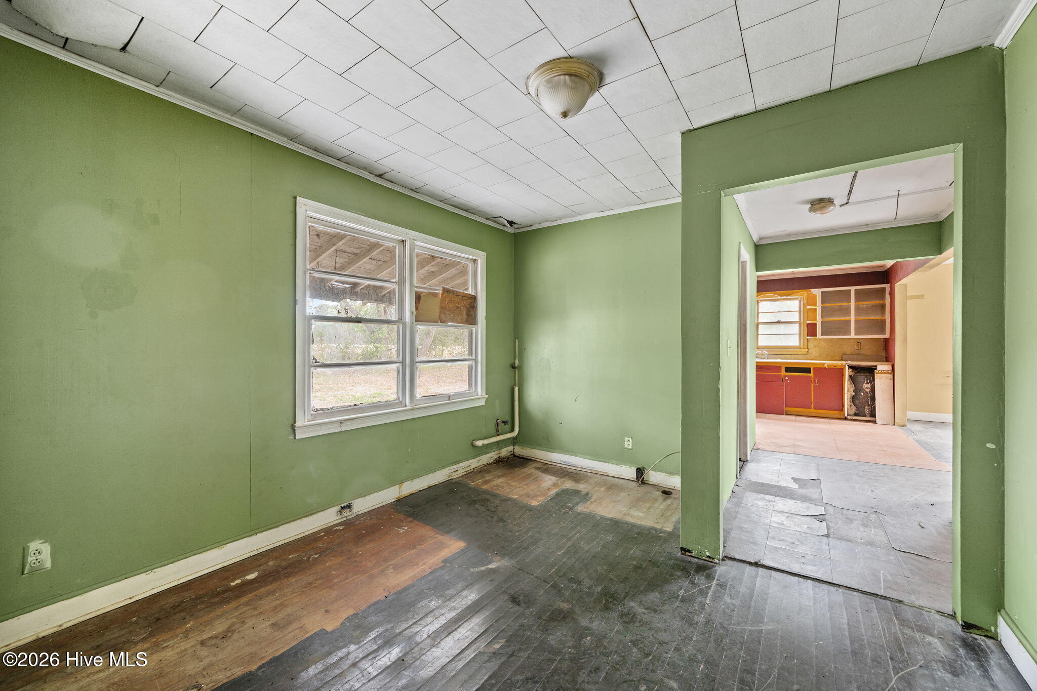 100565134 | Photo 30