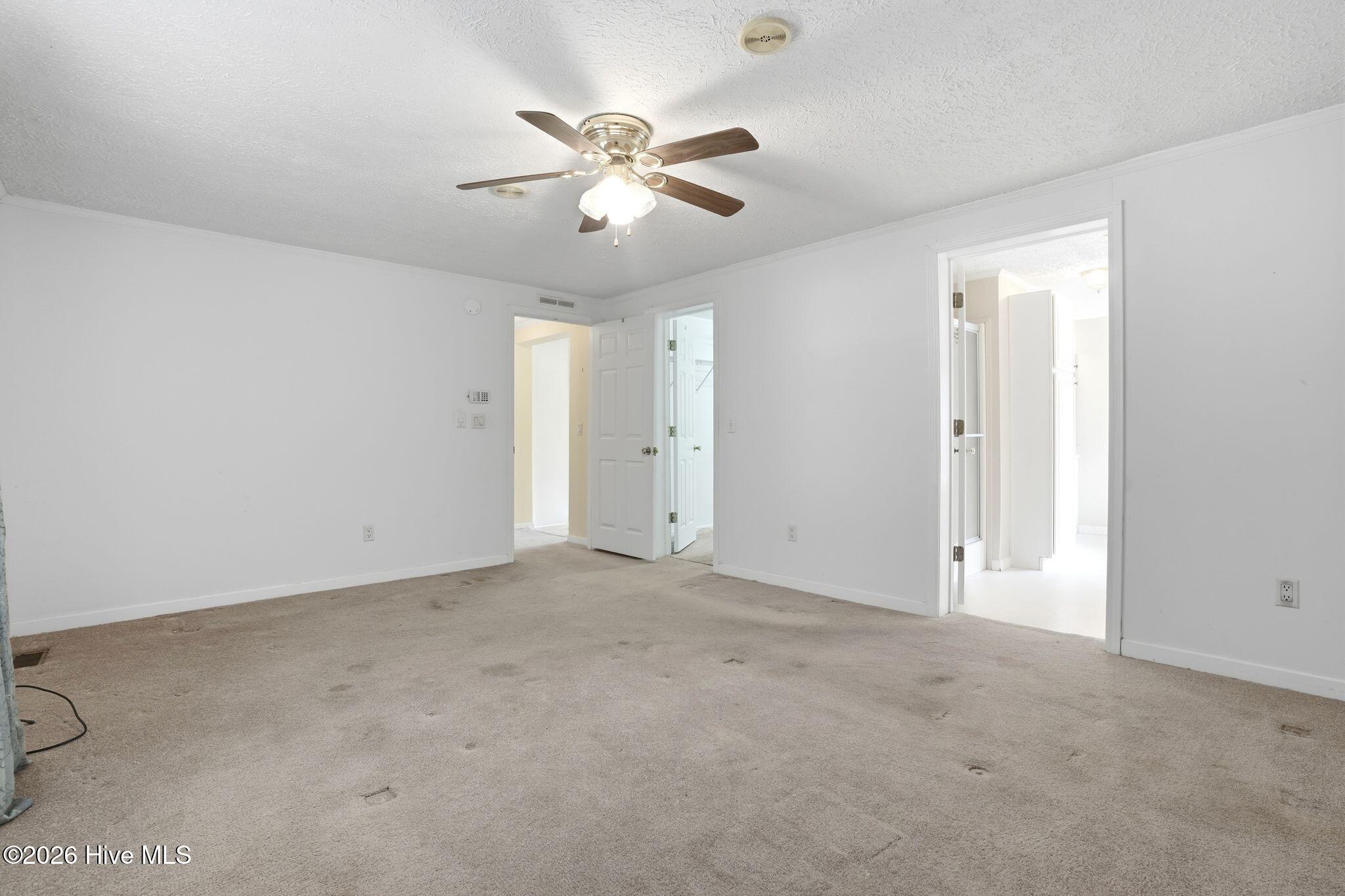 100556115 | Photo 62