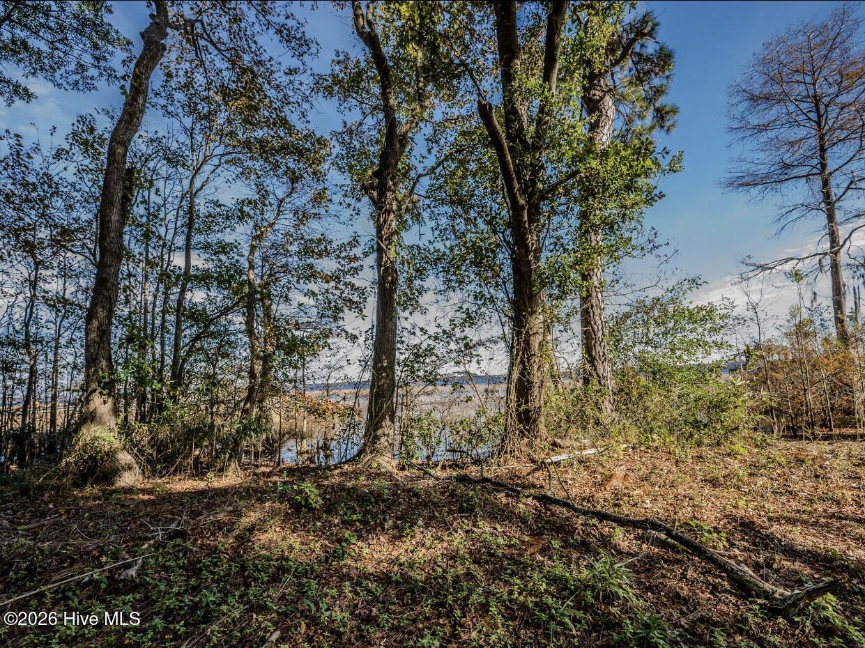 100560316 | Photo 14