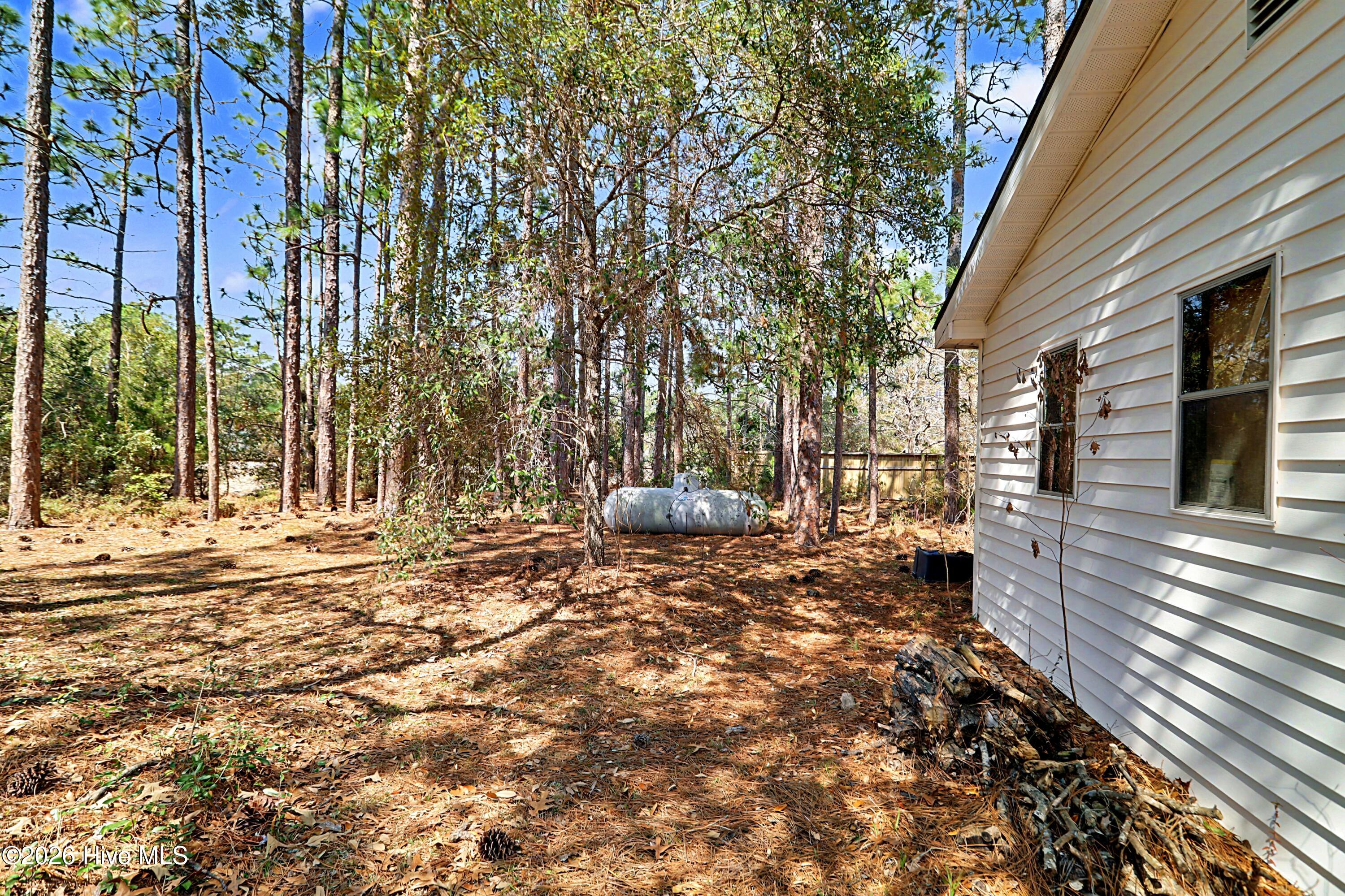 100562538 | Photo 34