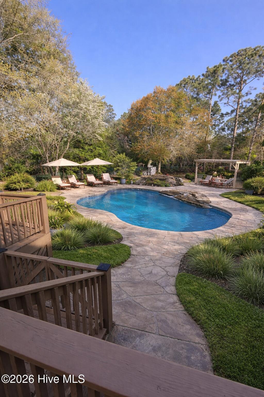 100566474 | Photo 25