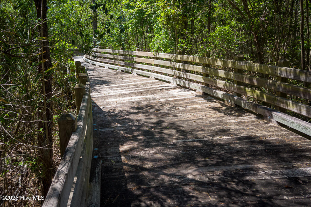 100539491 | Photo 64