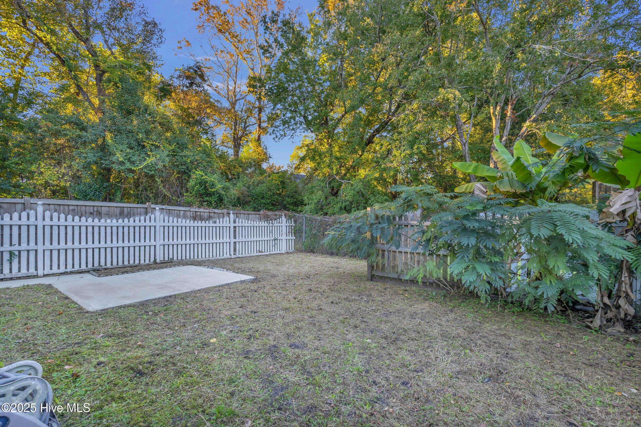 100540168 | Photo 33