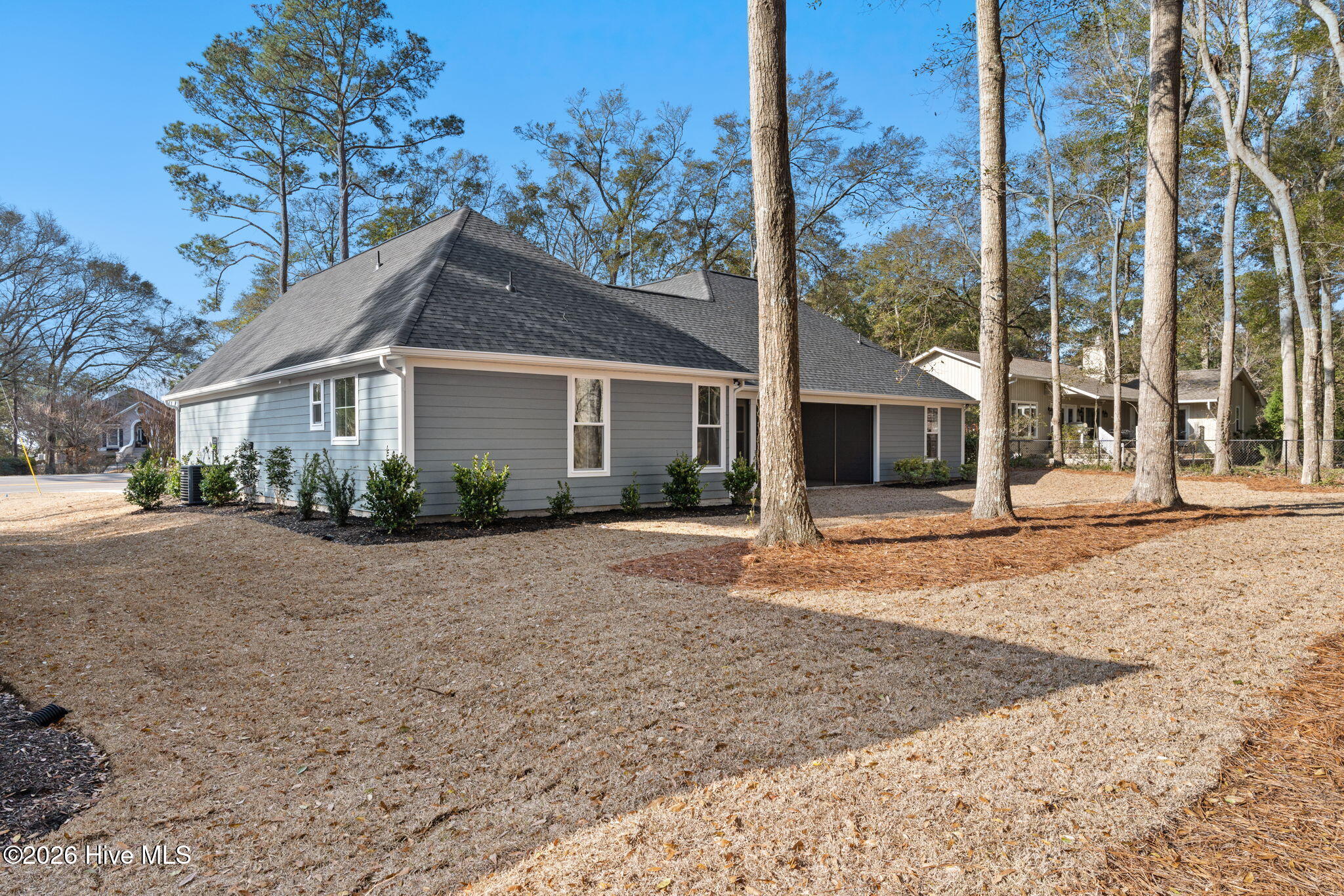 100558112 | Photo 51