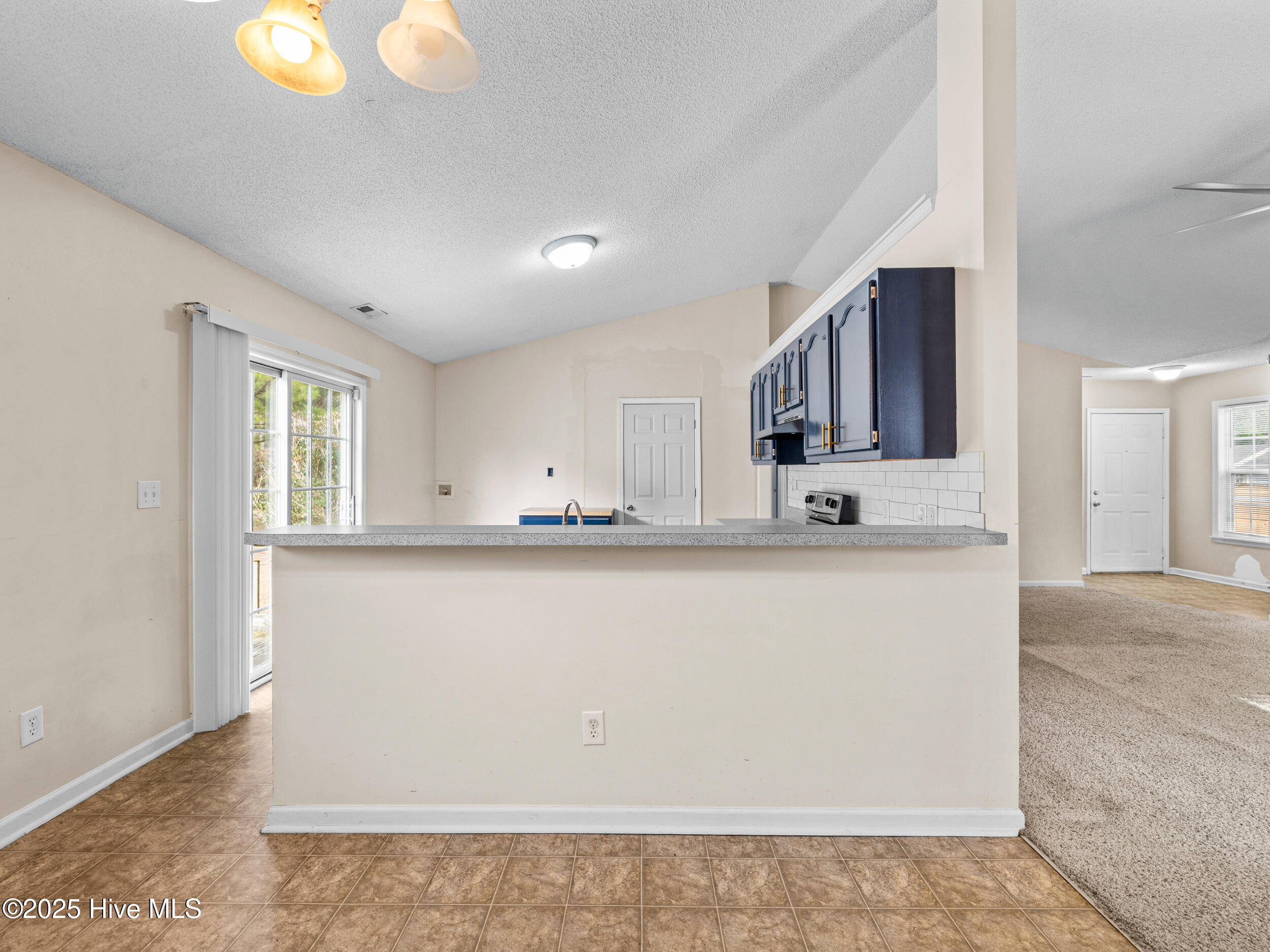 100546613 | Photo 16