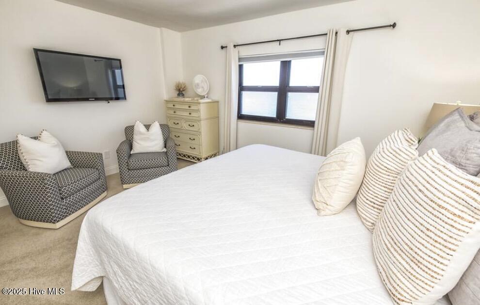 100546716 | Photo 11