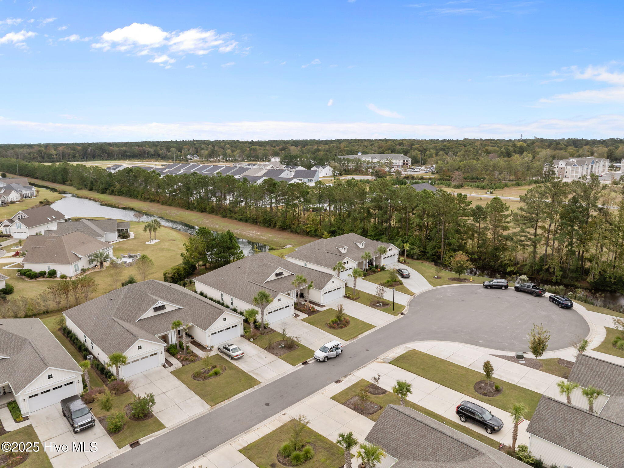 100539451 | Photo 51