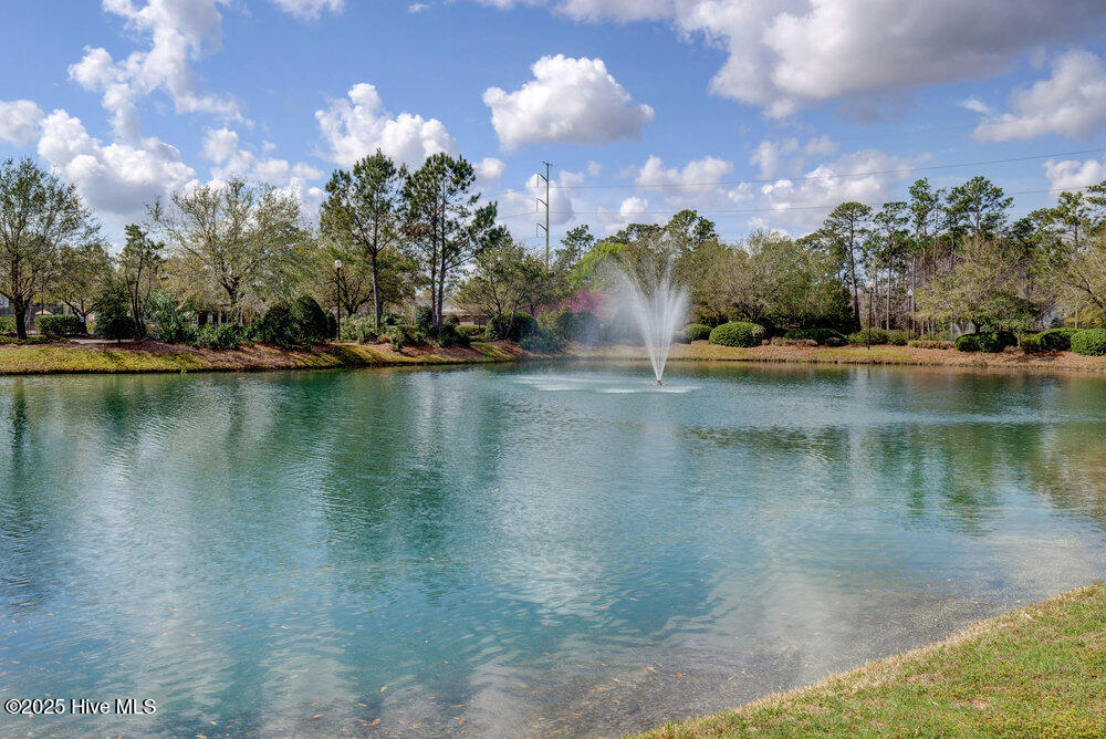 100531667 | Photo 87