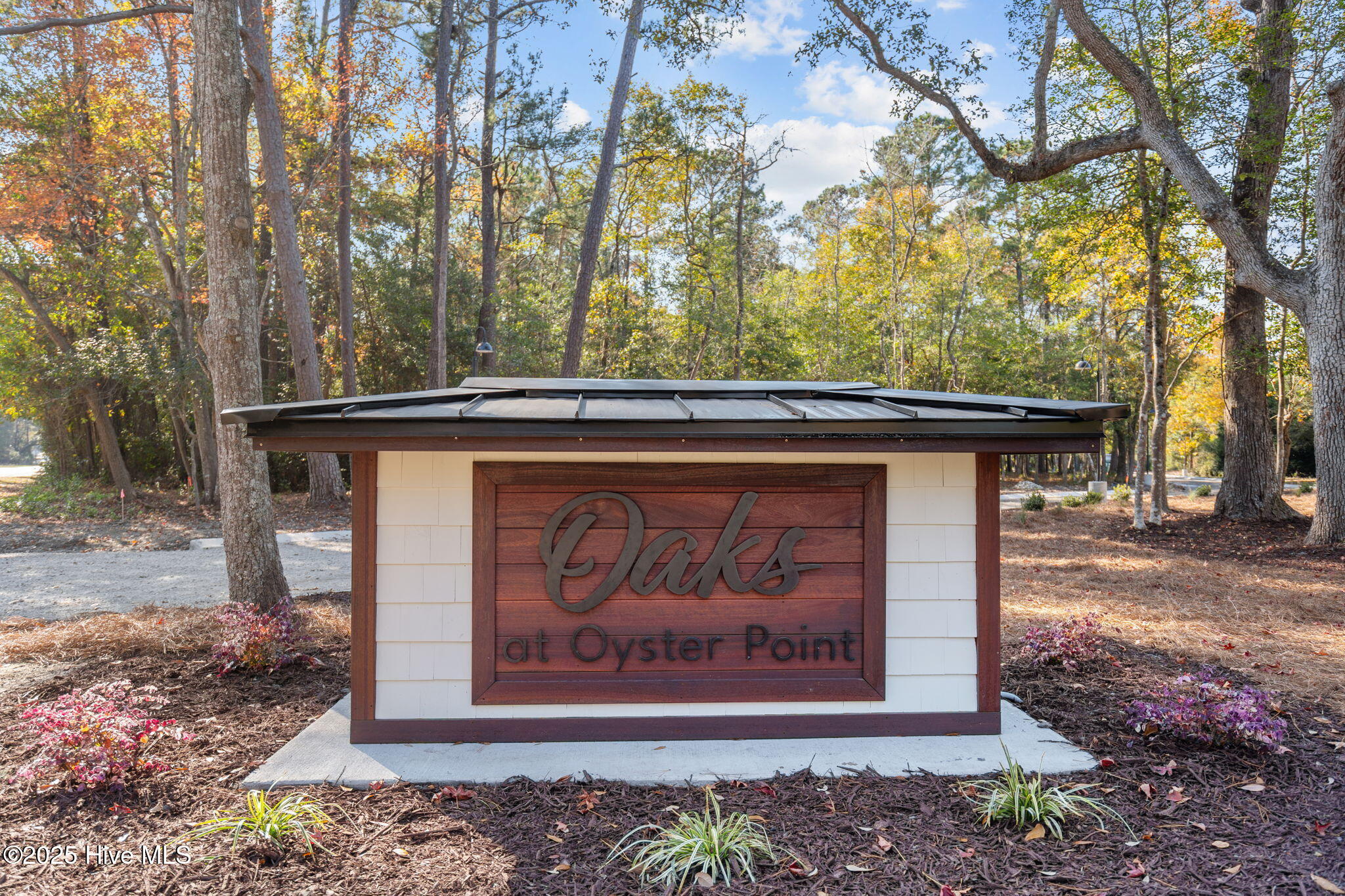 100546314 | Photo 10