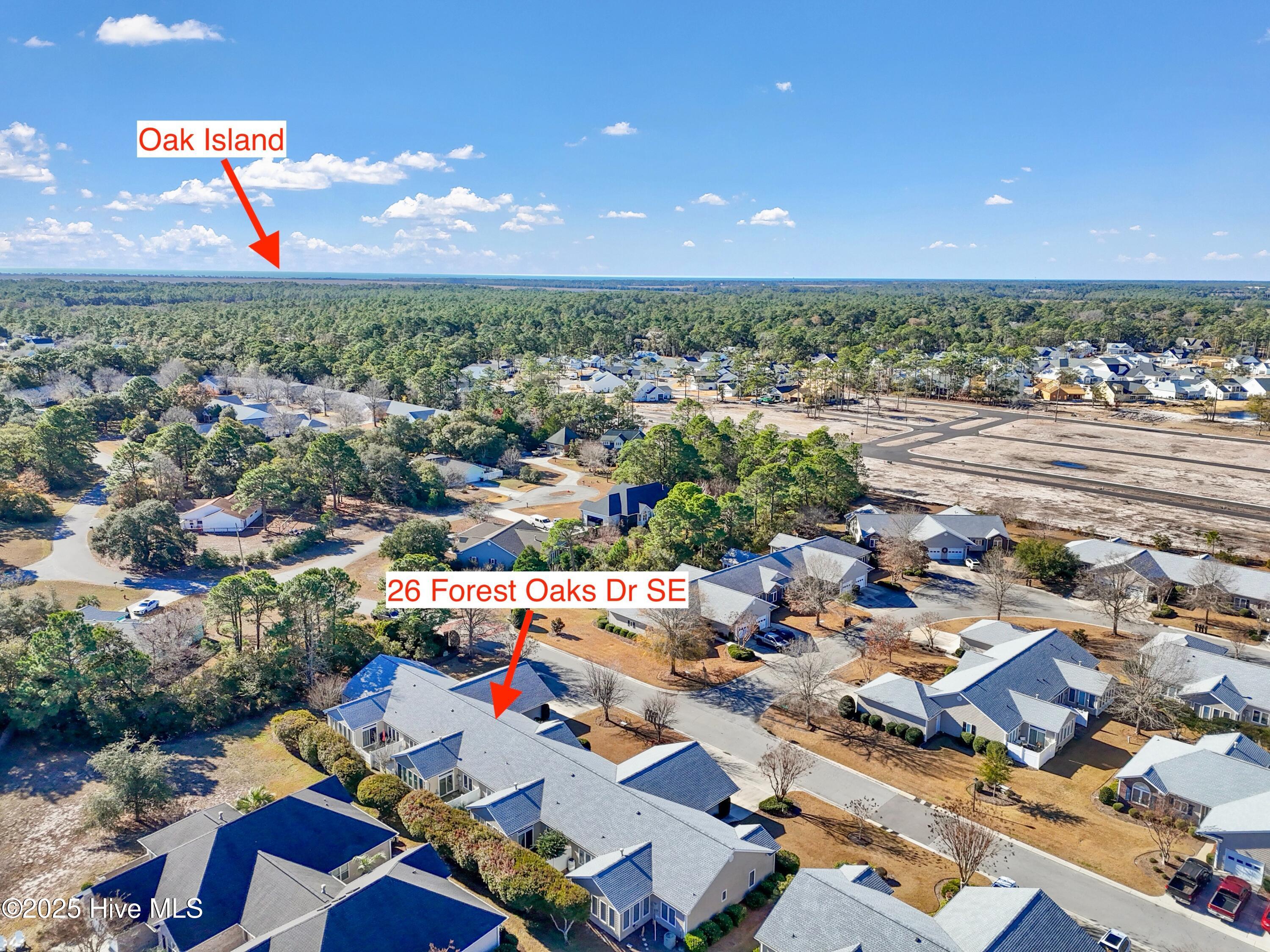 100546461 | Photo 43