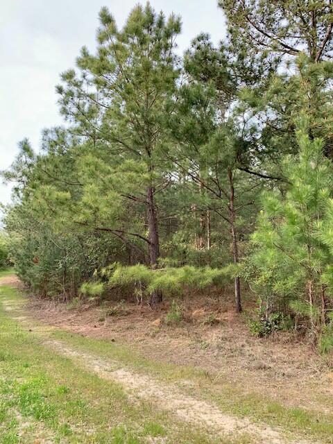 2405 HWY 88, Hephzibah, GA, 30815