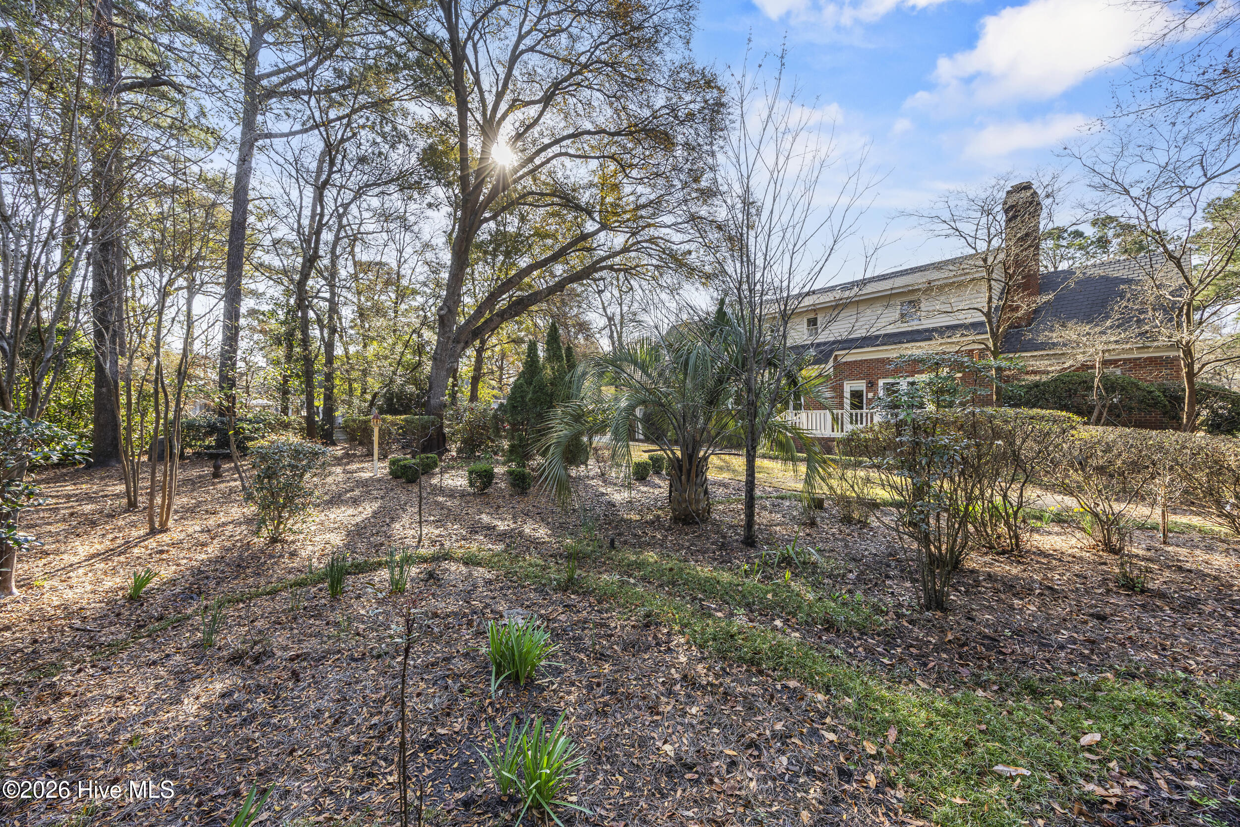 100560704 | Photo 70