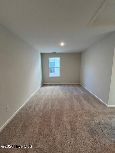 100567175 | Photo 25