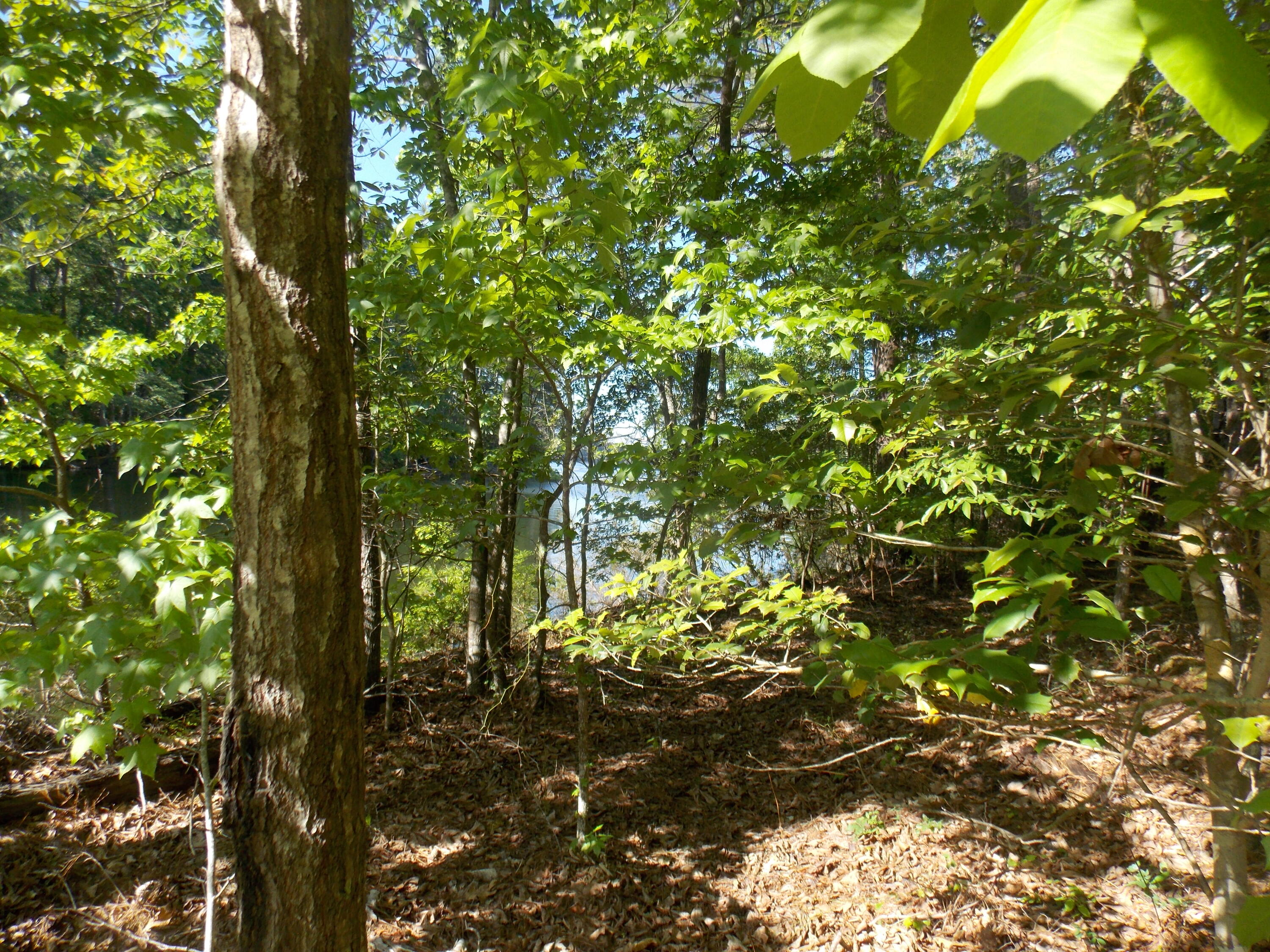 13 RIVERVIEW CT, Lincolnton, GA, 30817