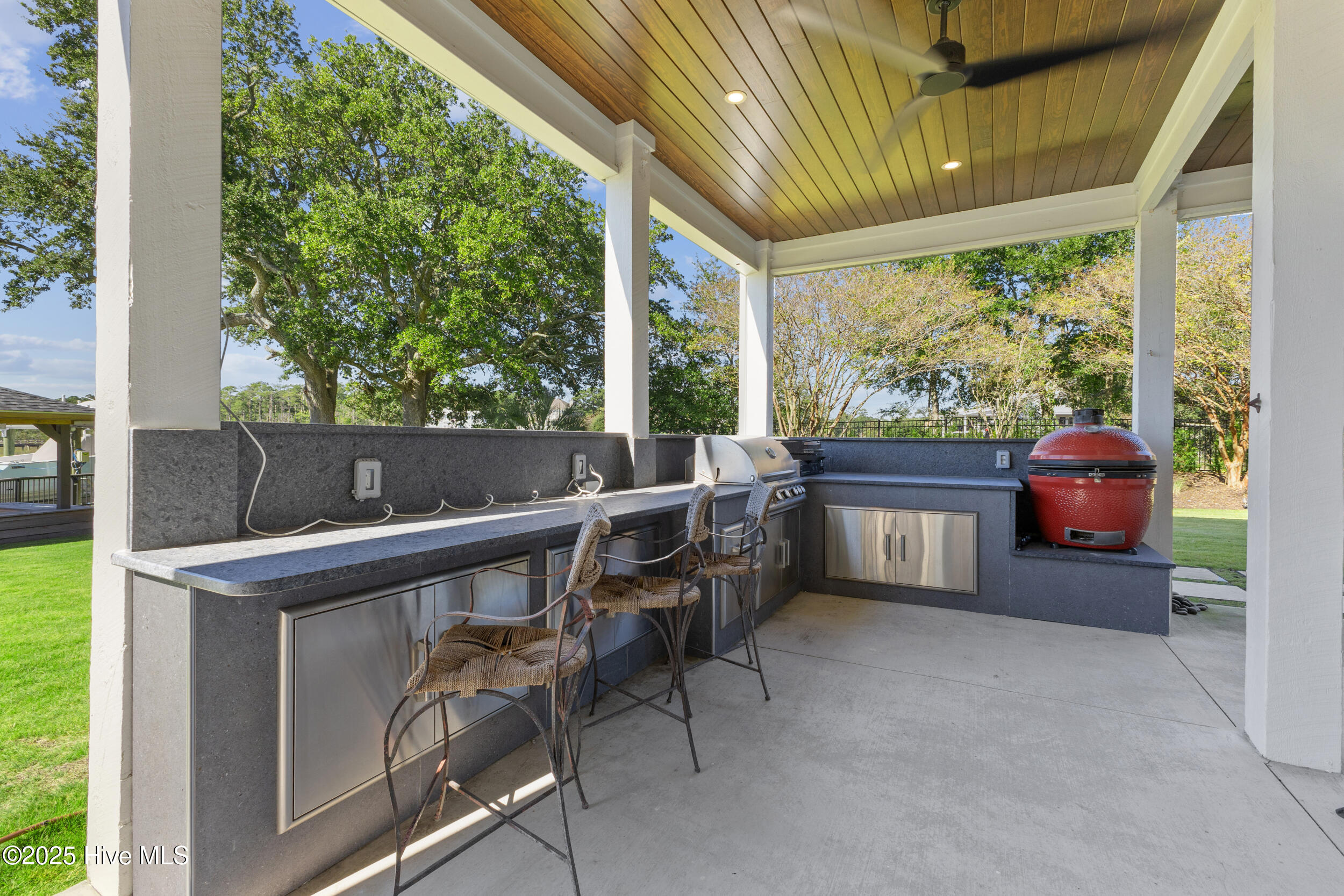 100541015 | Photo 32