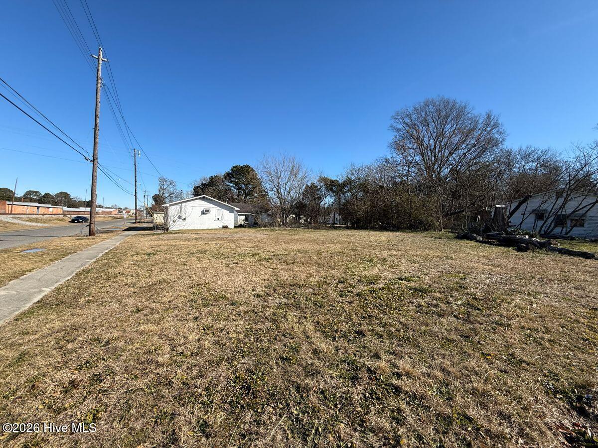 Off Of SE Center Street, Mount Olive, NC, 28365