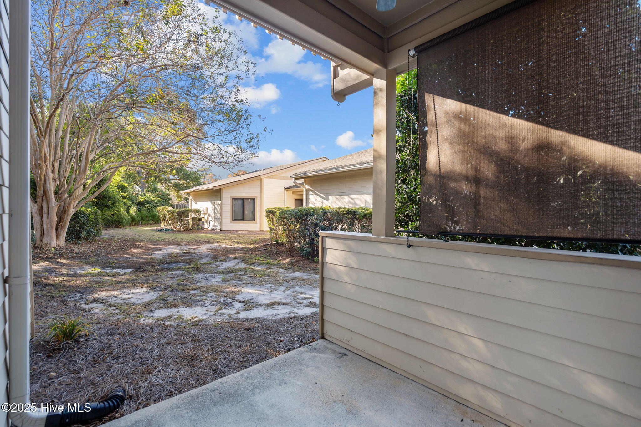 100539656 | Photo 12