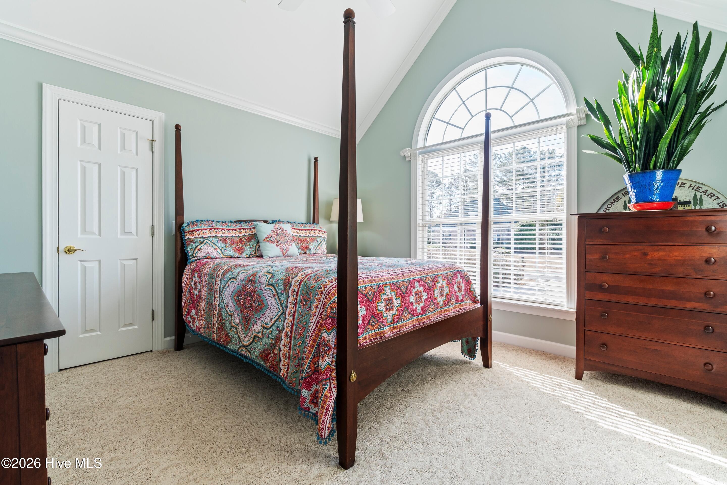 100549552 | Photo 42