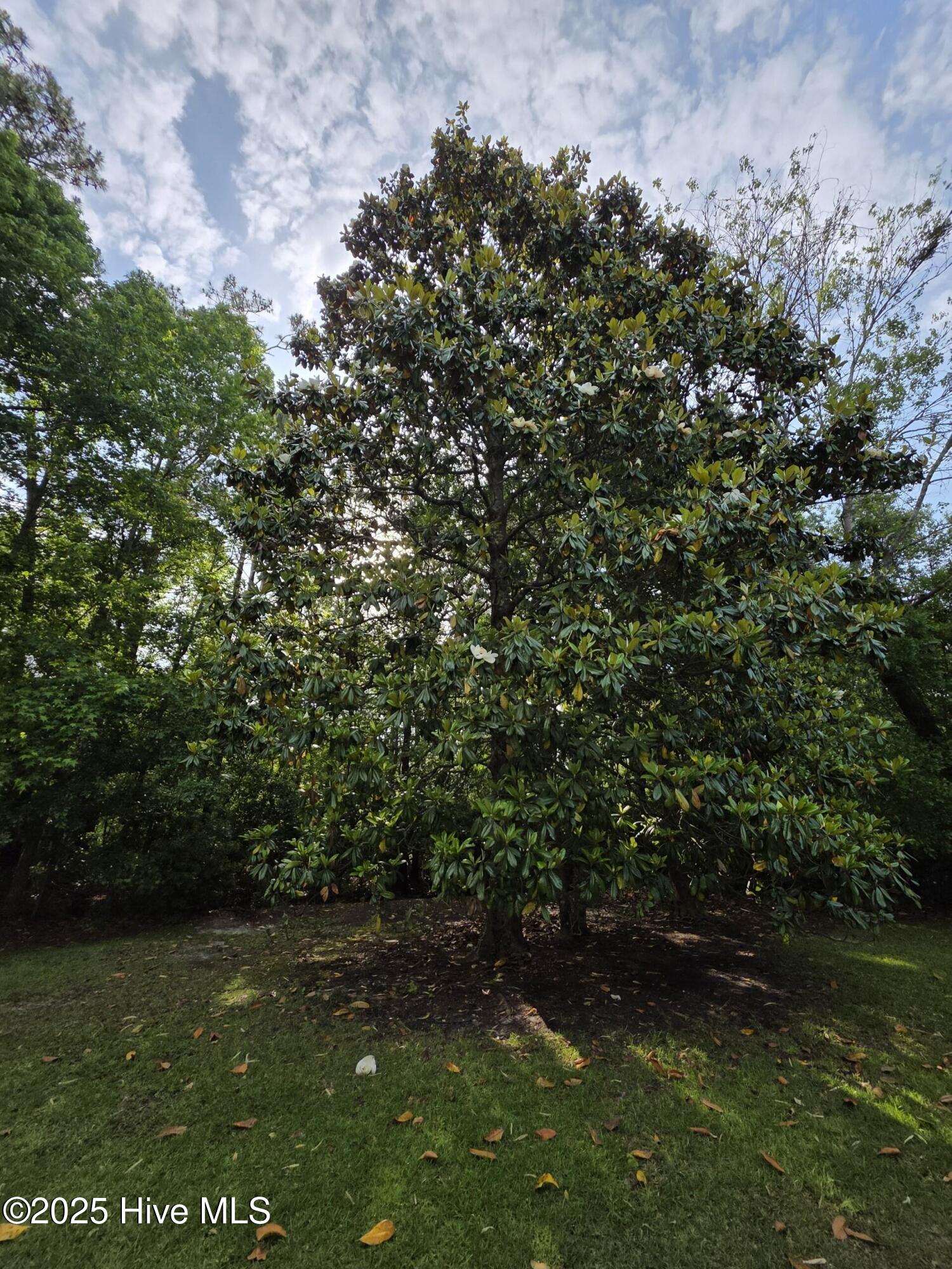 100500123 | Photo 48