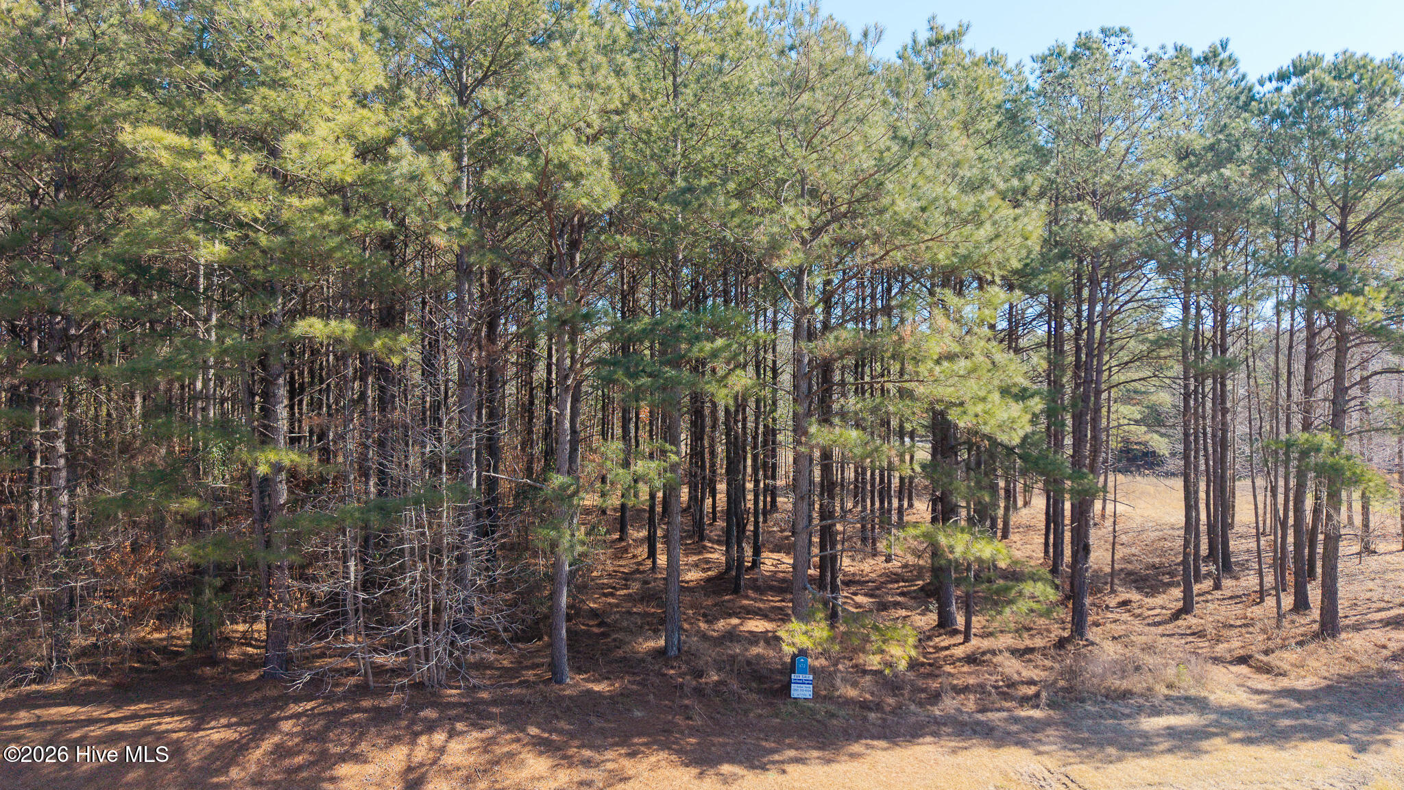 144 Colleton Circle, Edenton, NC, 27932