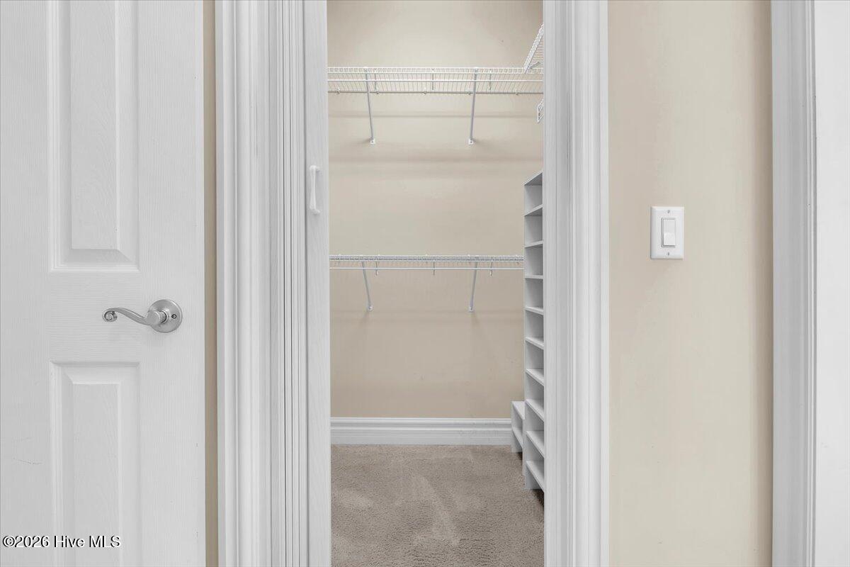 100559889 | Photo 34