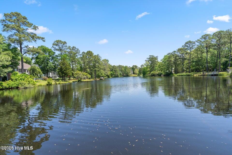 100562676 | Photo 37