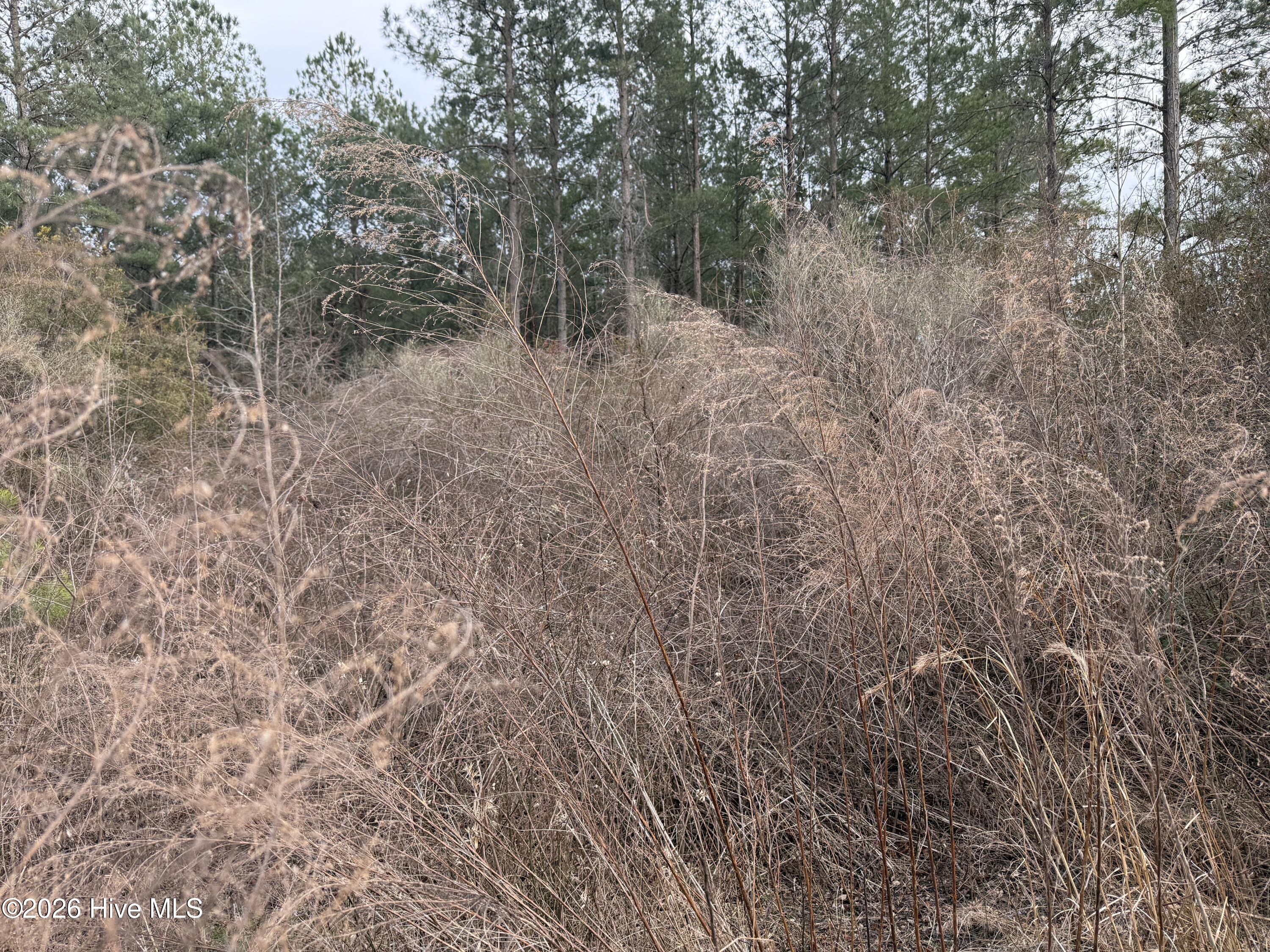 Homes for sale in Aurora, NC | 0 Tuten Rd, Aurora, NC 27806 | MLS# 100556942