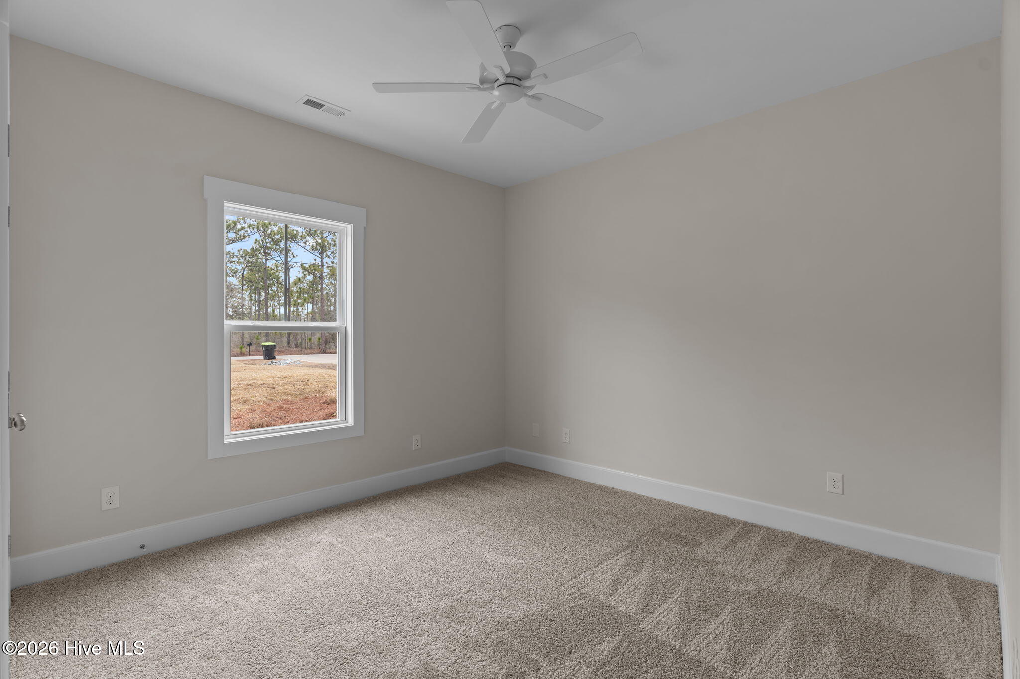 100553165 | Photo 32