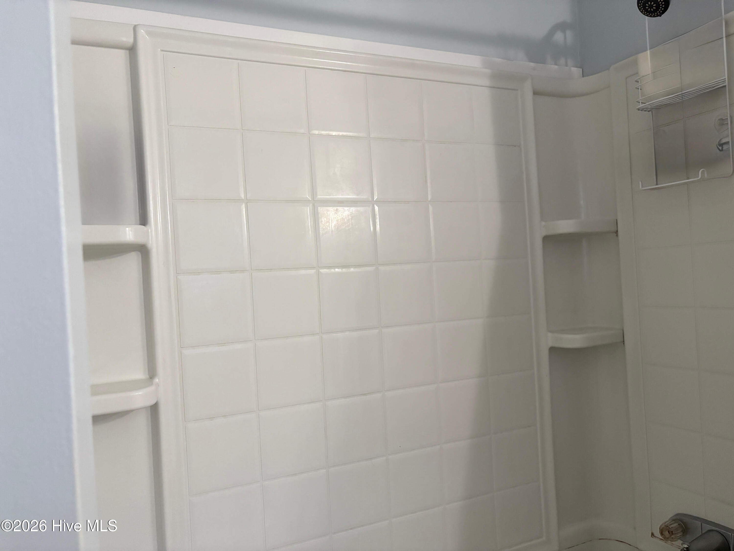 100557287 | Photo 39