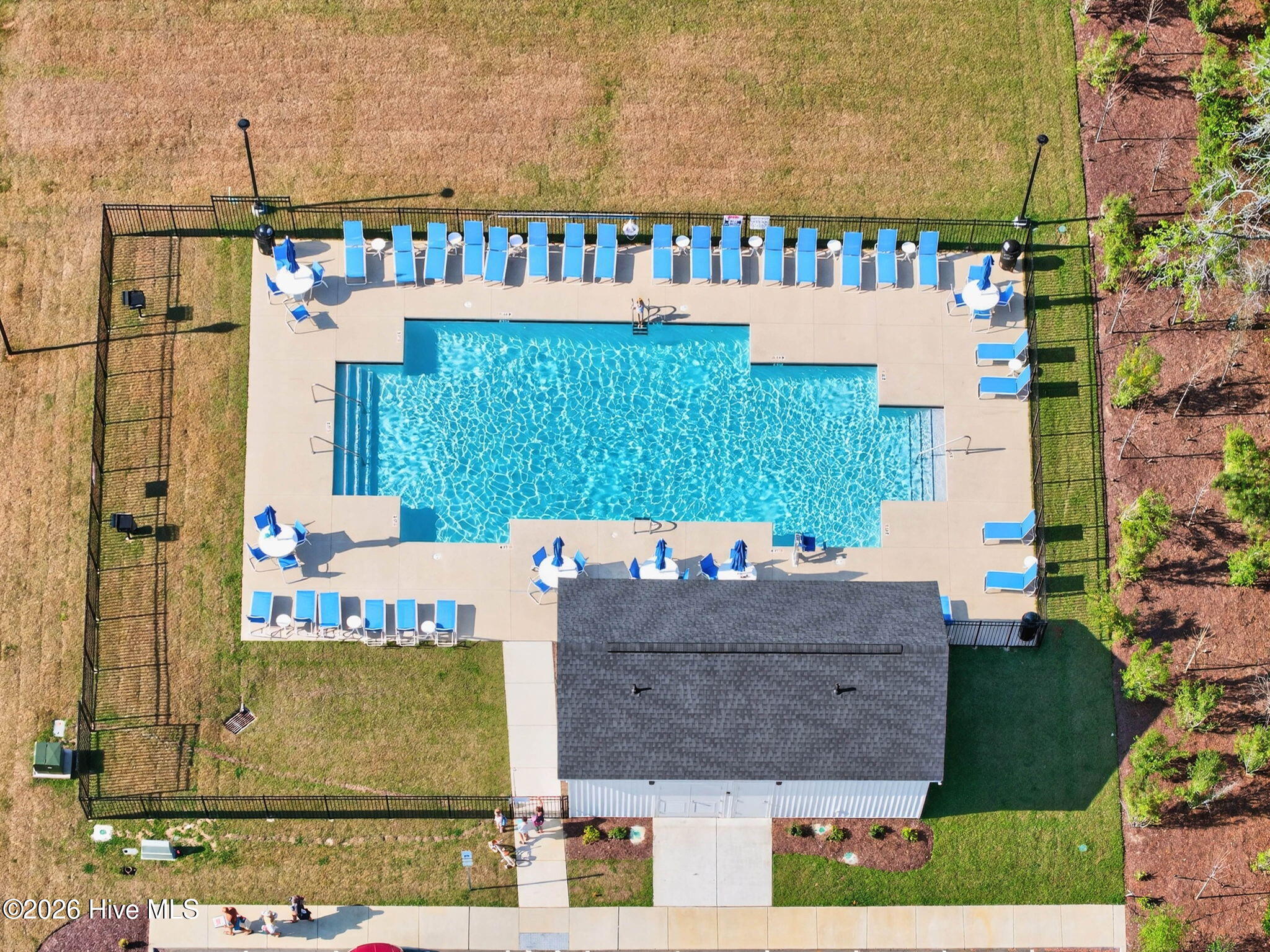 100564672 | Photo 51