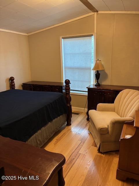 100537086 | Photo 16