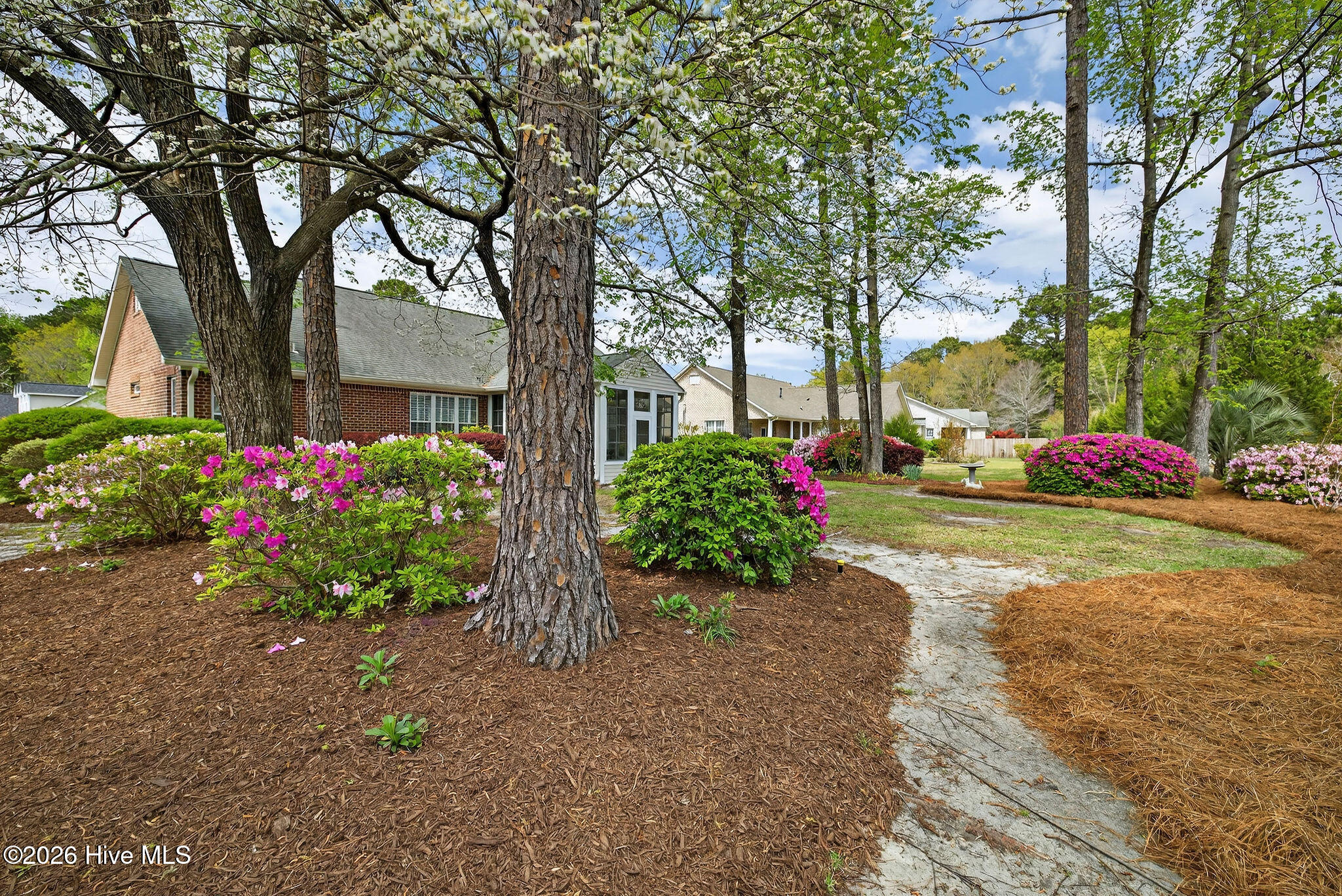 100565648 | Photo 38