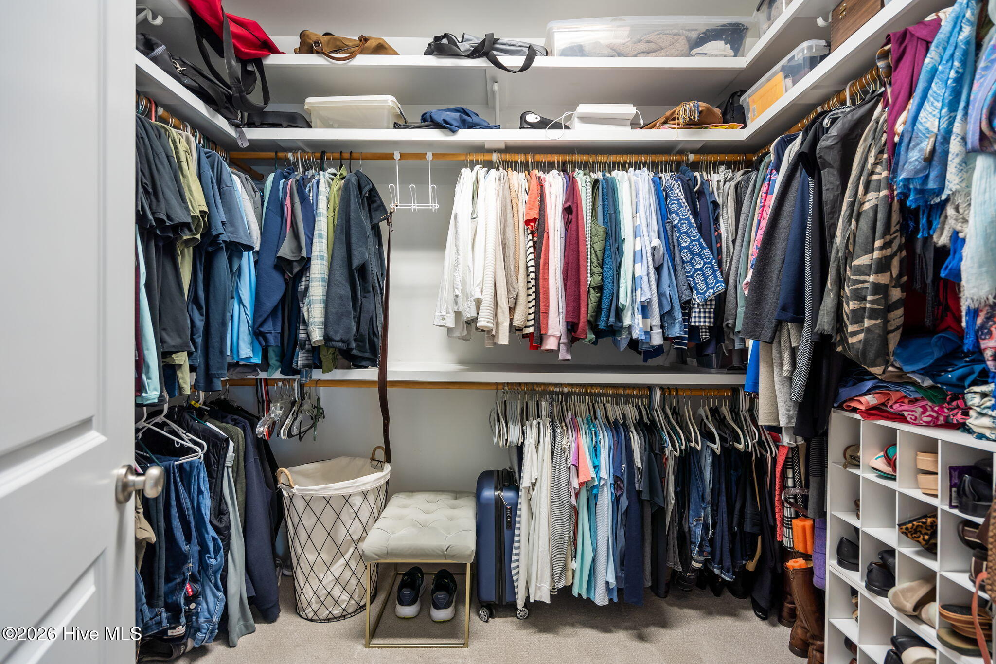 100564215 | Photo 31